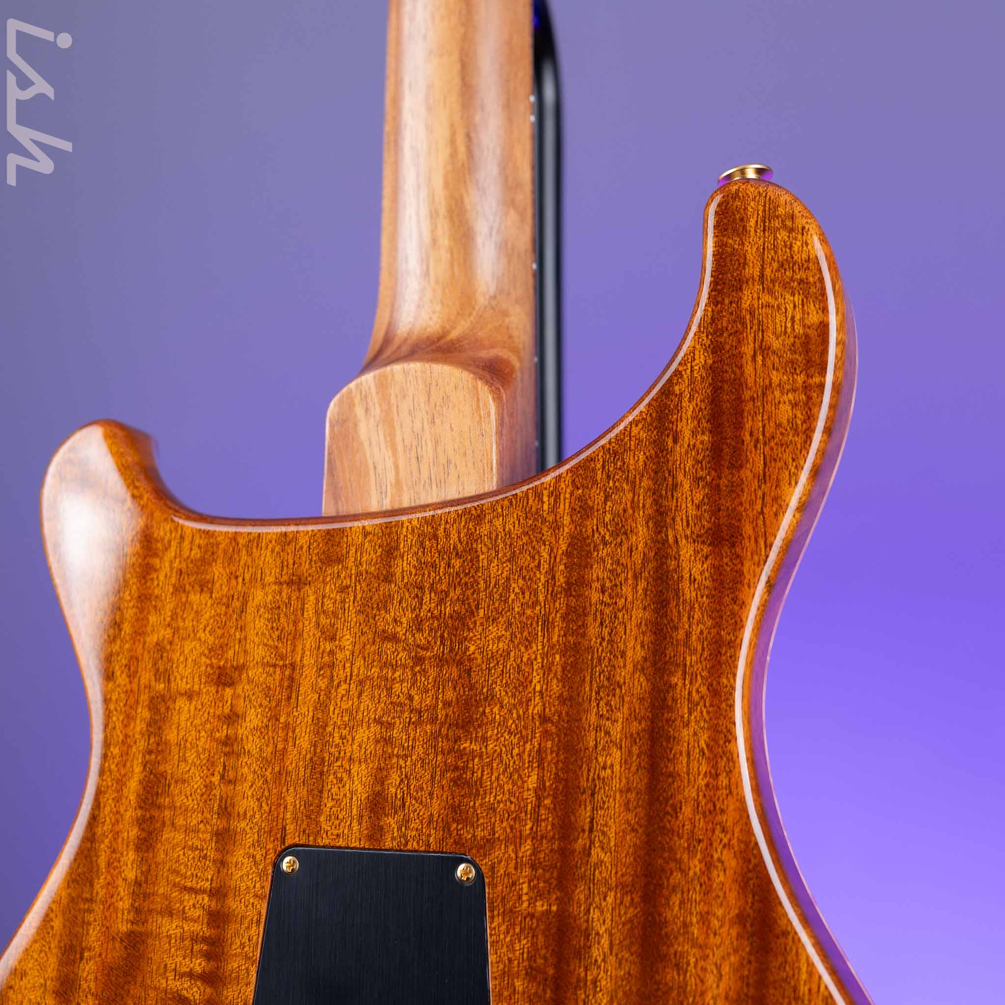PRS Private Stock DGT Dirty Blonde - Image 8