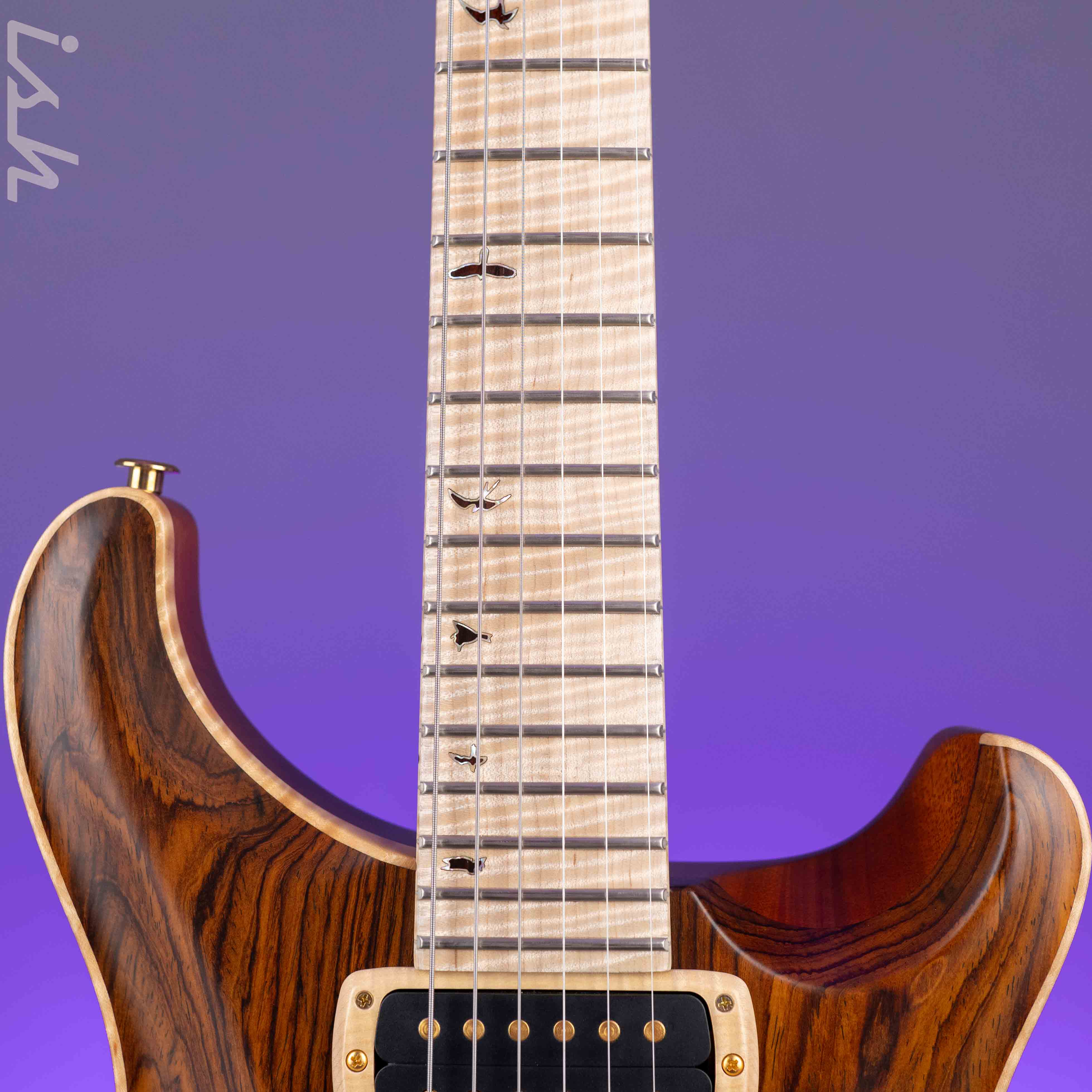 PRS Private Stock Paul's Guitar Semi-Hollow Cocobolo - Image 5