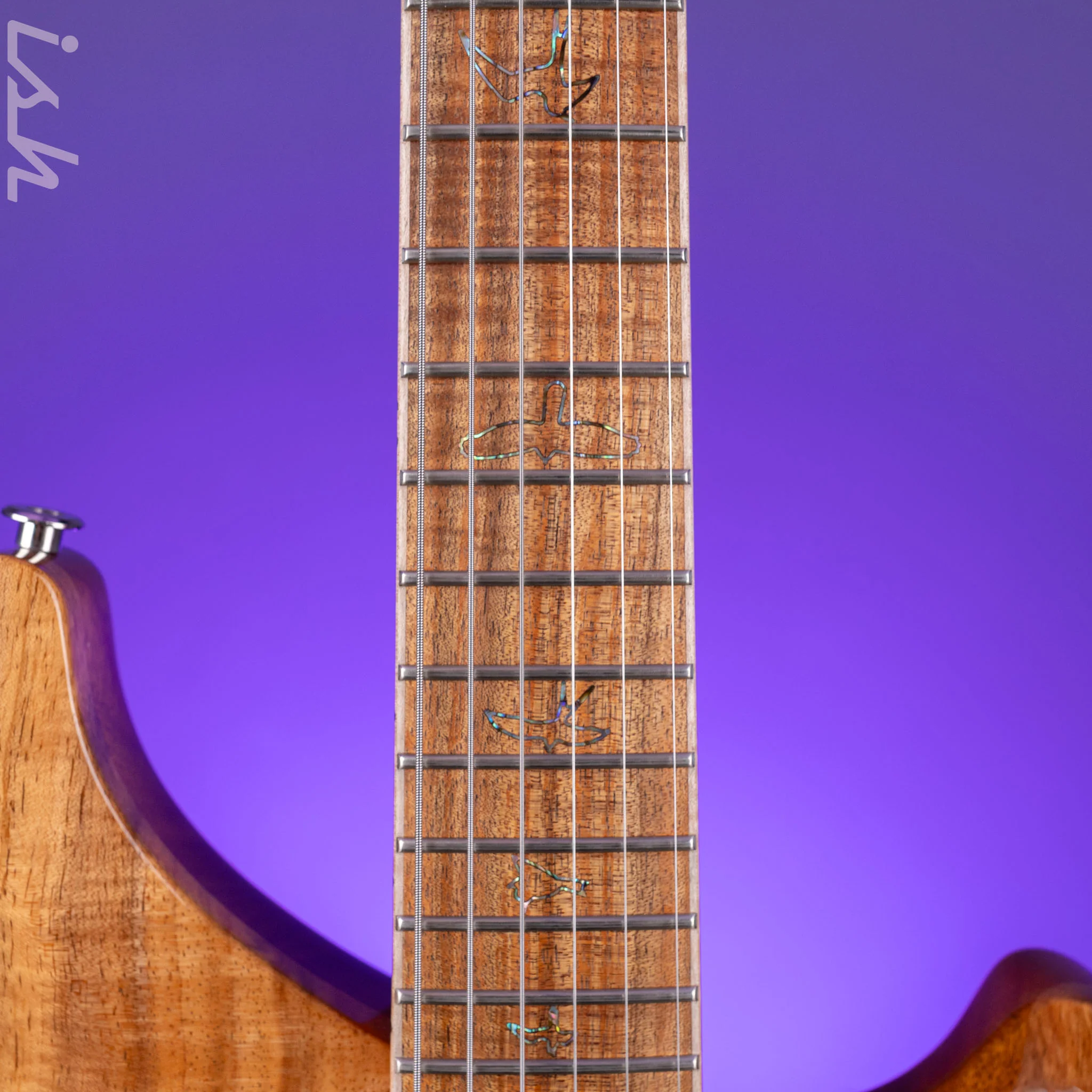 PRS Private Stock Vela Tasmanian Blackwood - Image 6