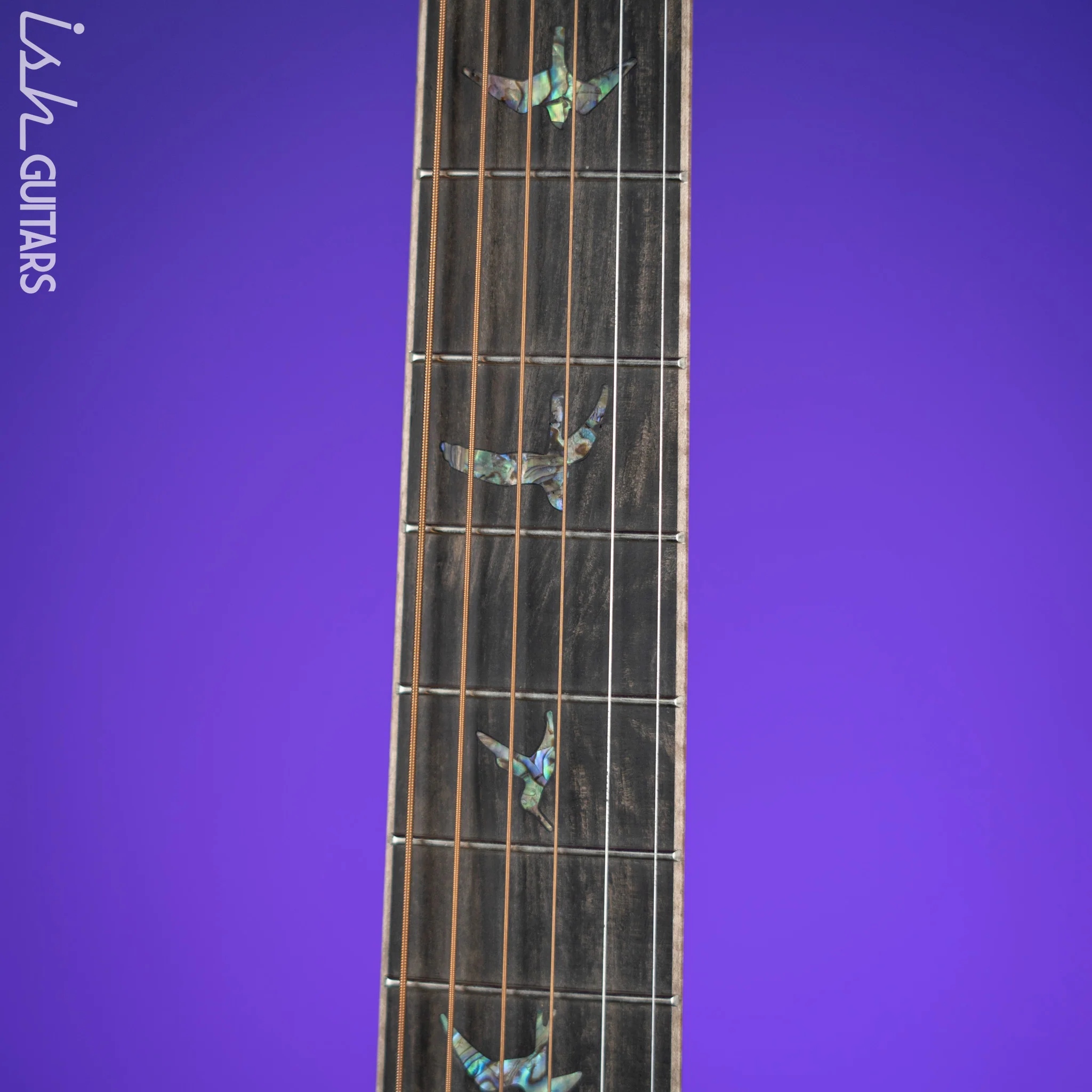 PRS SE A60E Angelus Acoustic Electric Guitar Ziricote - Image 6