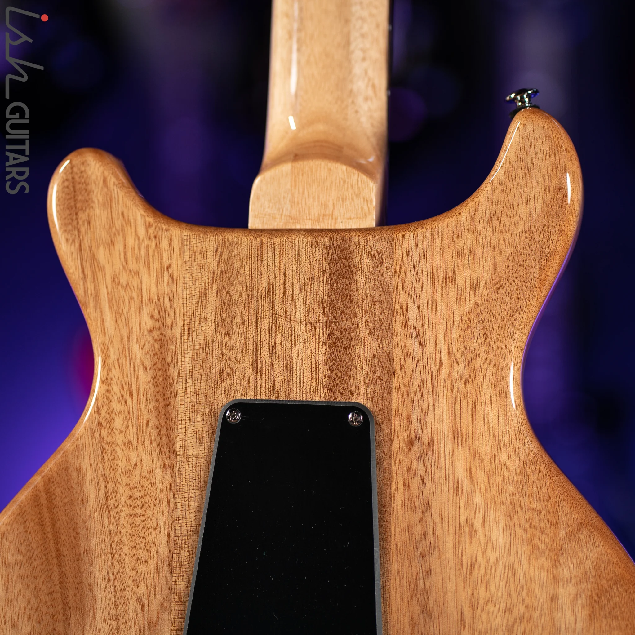 PRS SE Santana Abraxas Limited Edition 50th Anniversary - Image 9
