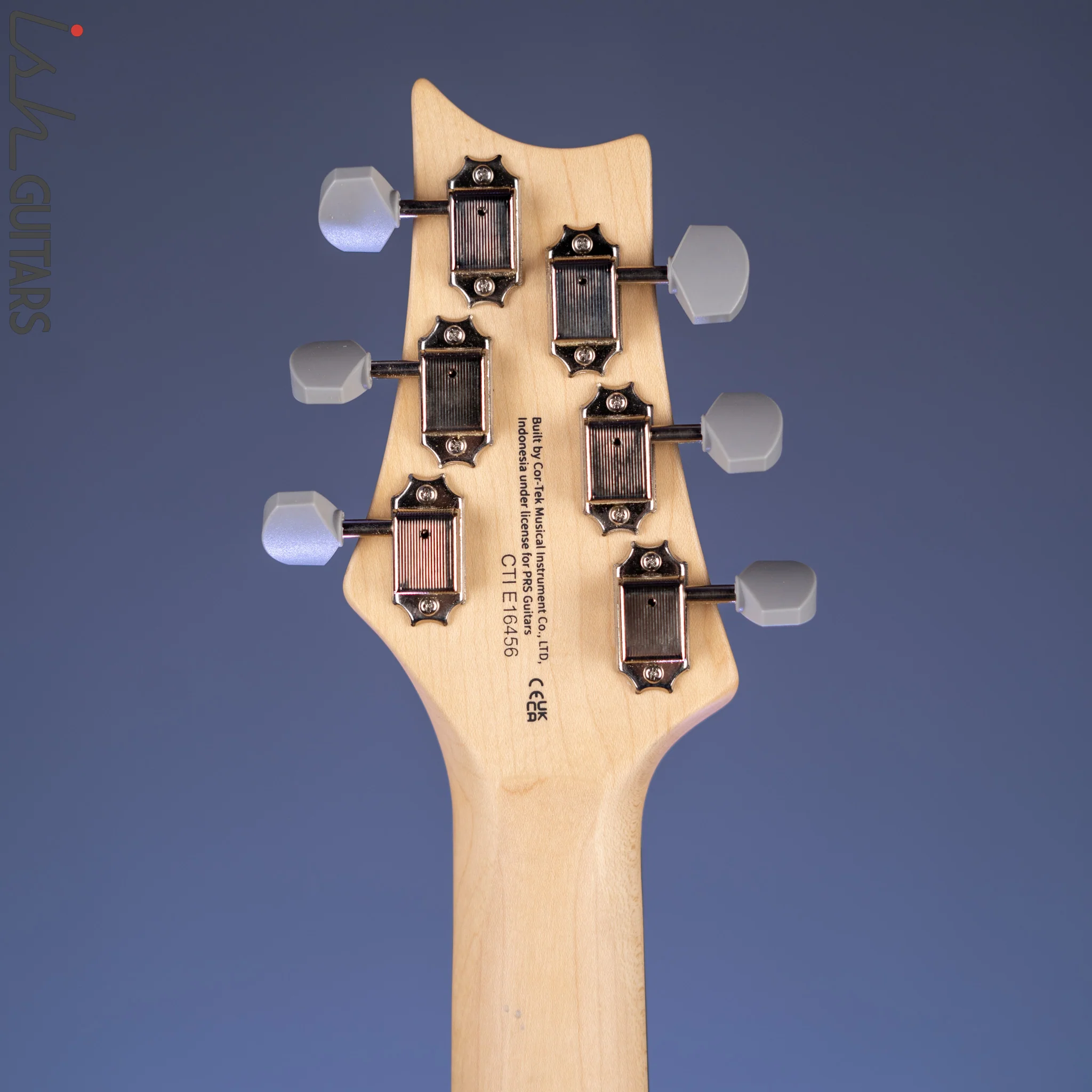 PRS SE Silver Sky Dragon Fruit Demo - Image 10