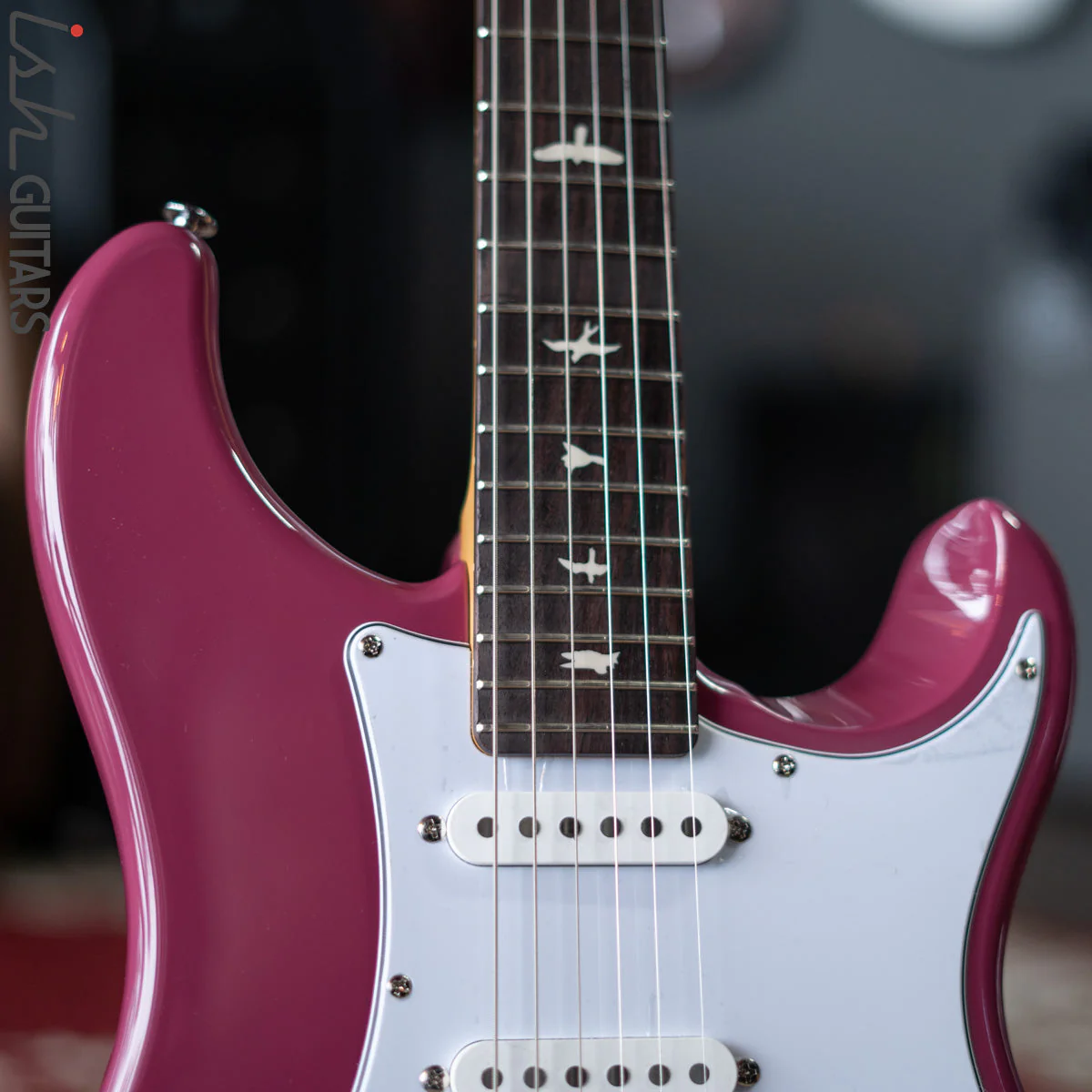 PRS SE Silver Sky Dragon Fruit Demo - Image 6