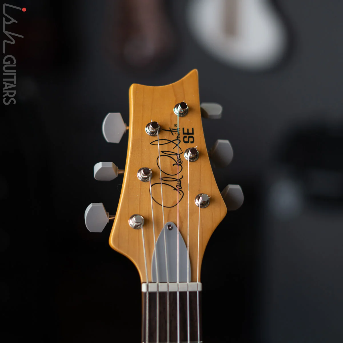 PRS SE Silver Sky Ever Green Demo - Image 6