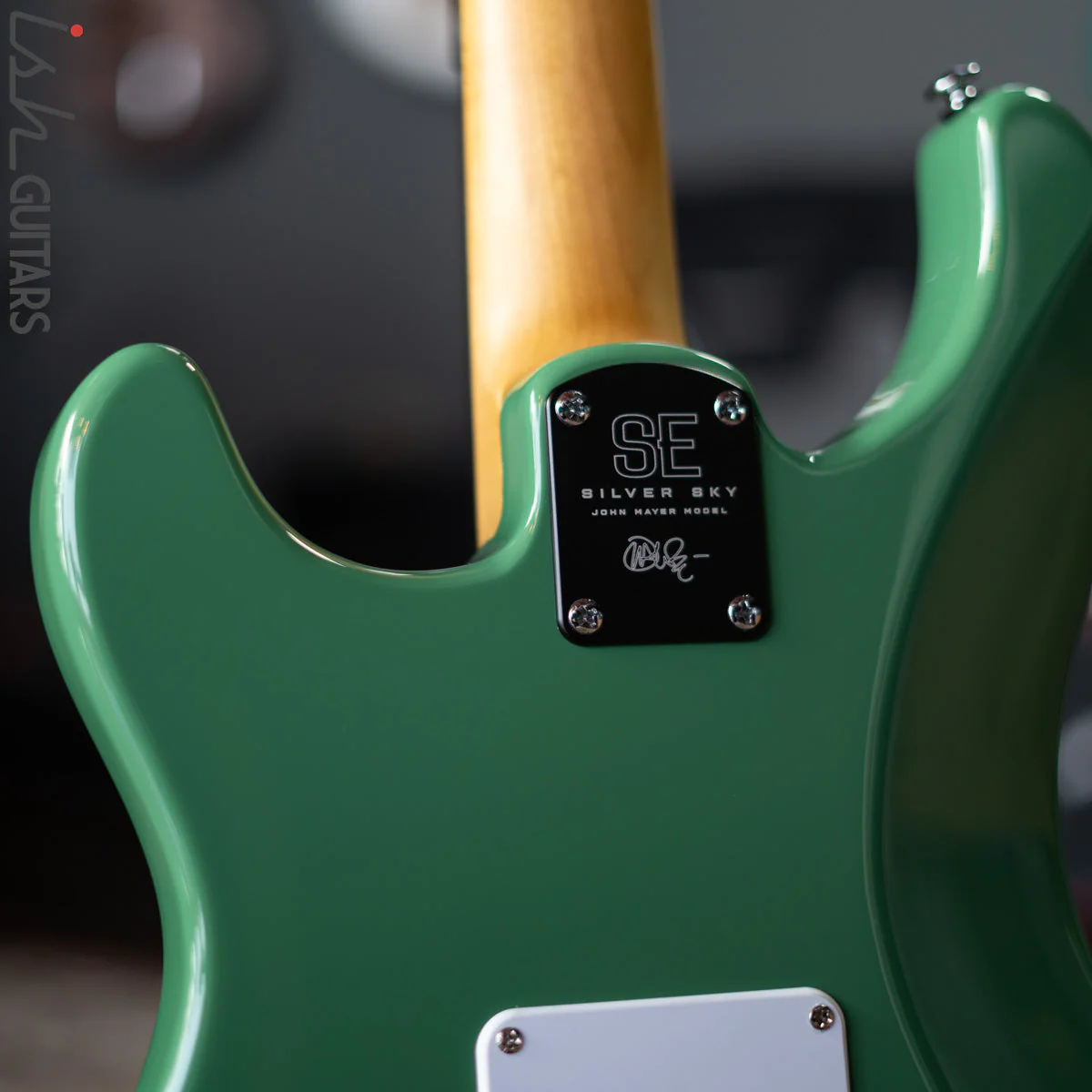 PRS SE Silver Sky Ever Green Demo - Image 7