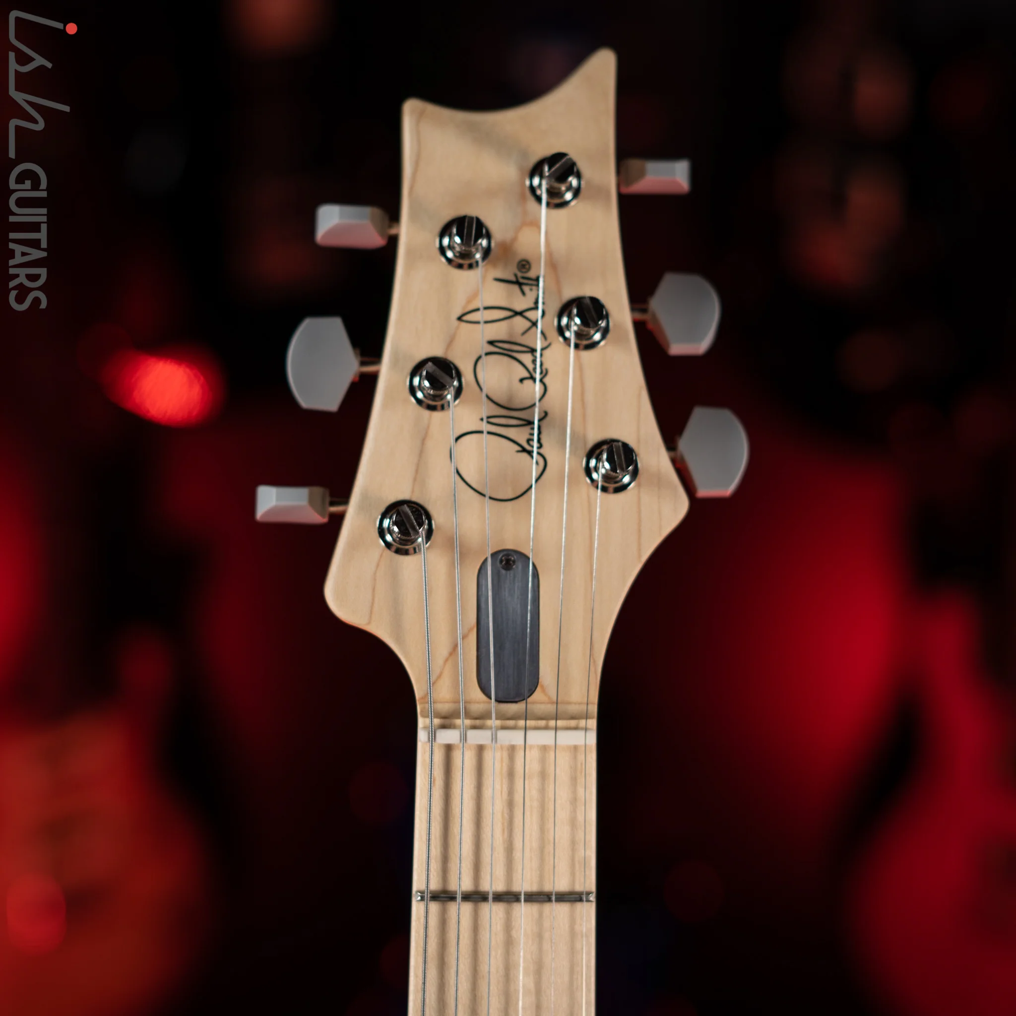 PRS Silver Sky Lunar Ice Limited Edition - Image 5