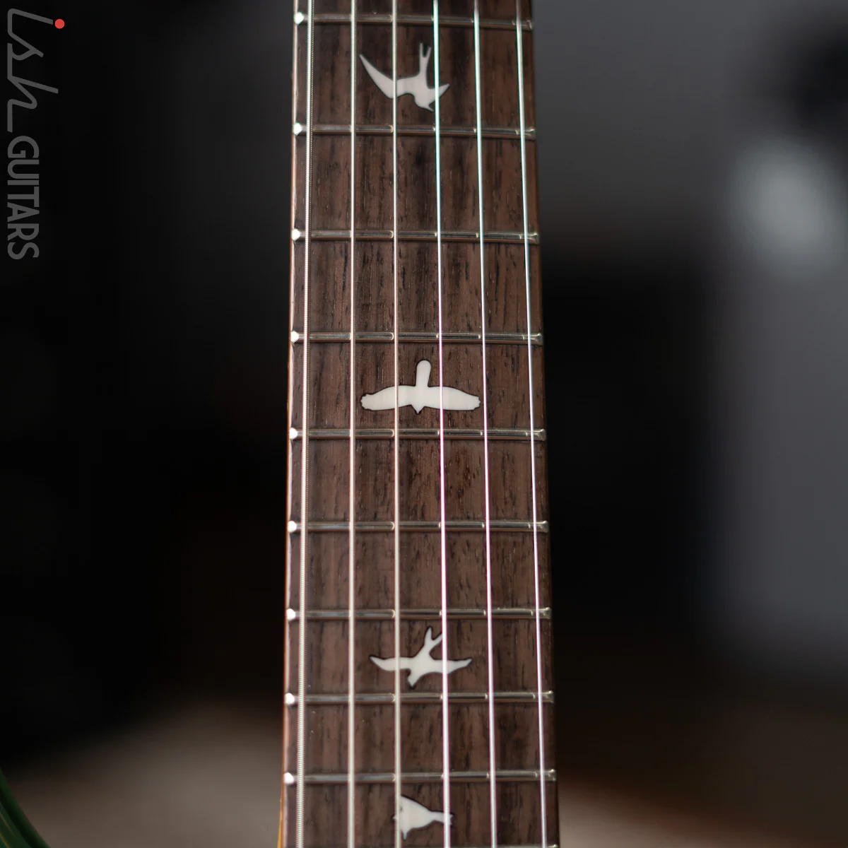 PRS SE Silver Sky Ever Green - Image 5