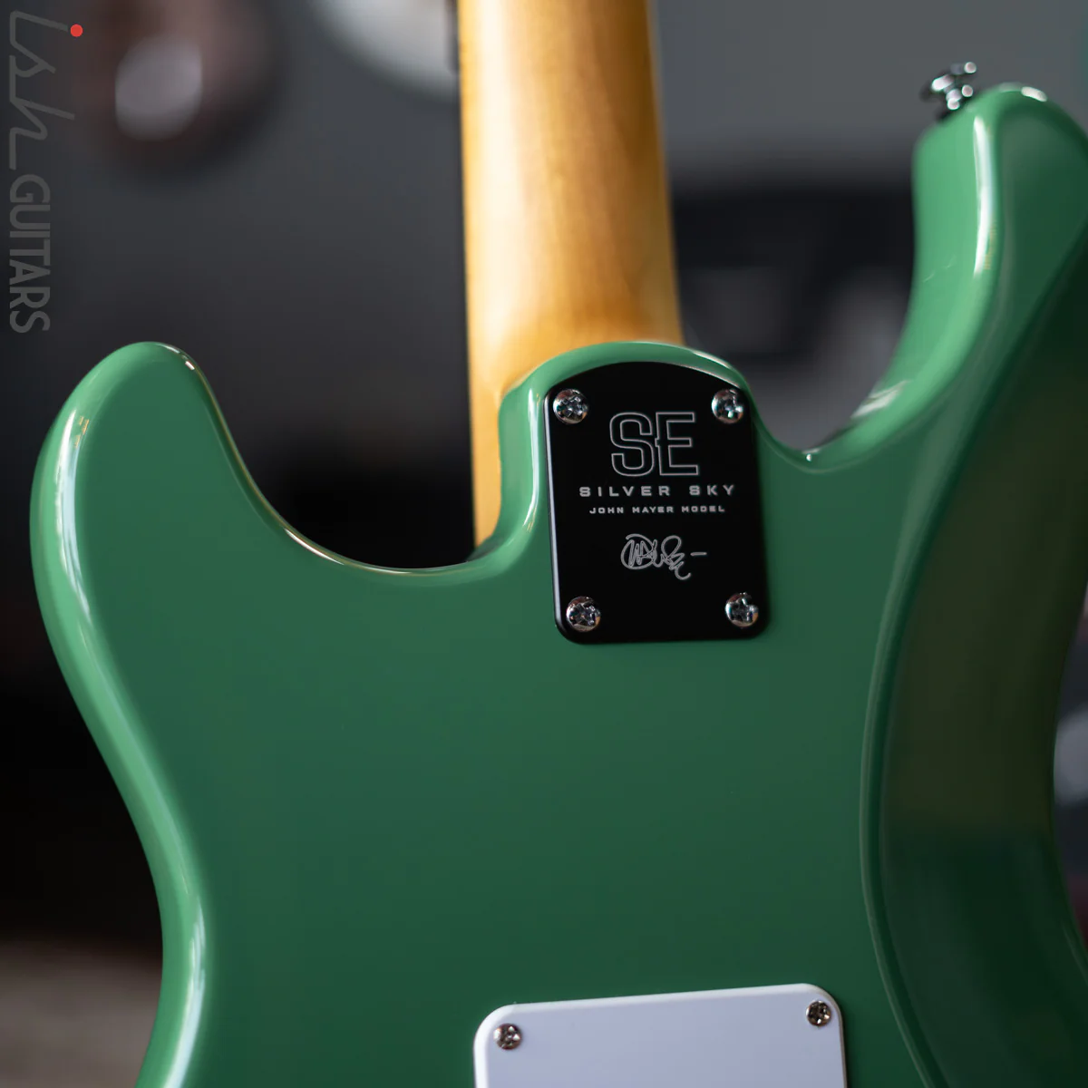PRS SE Silver Sky Ever Green - Image 8