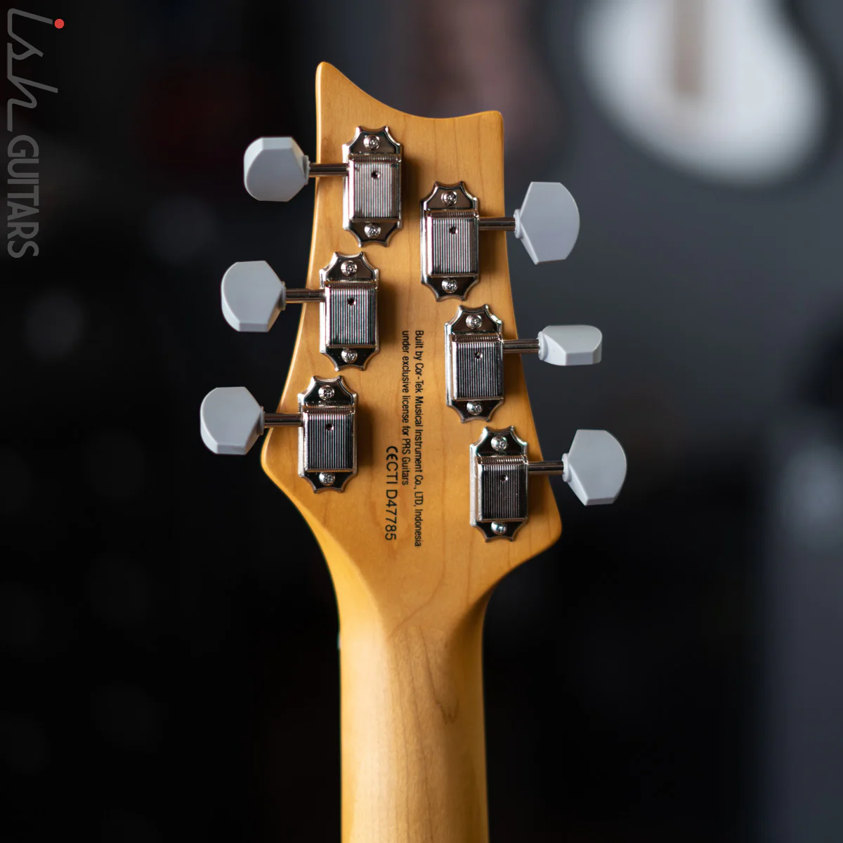 PRS SE Silver Sky Ever Green - Image 9