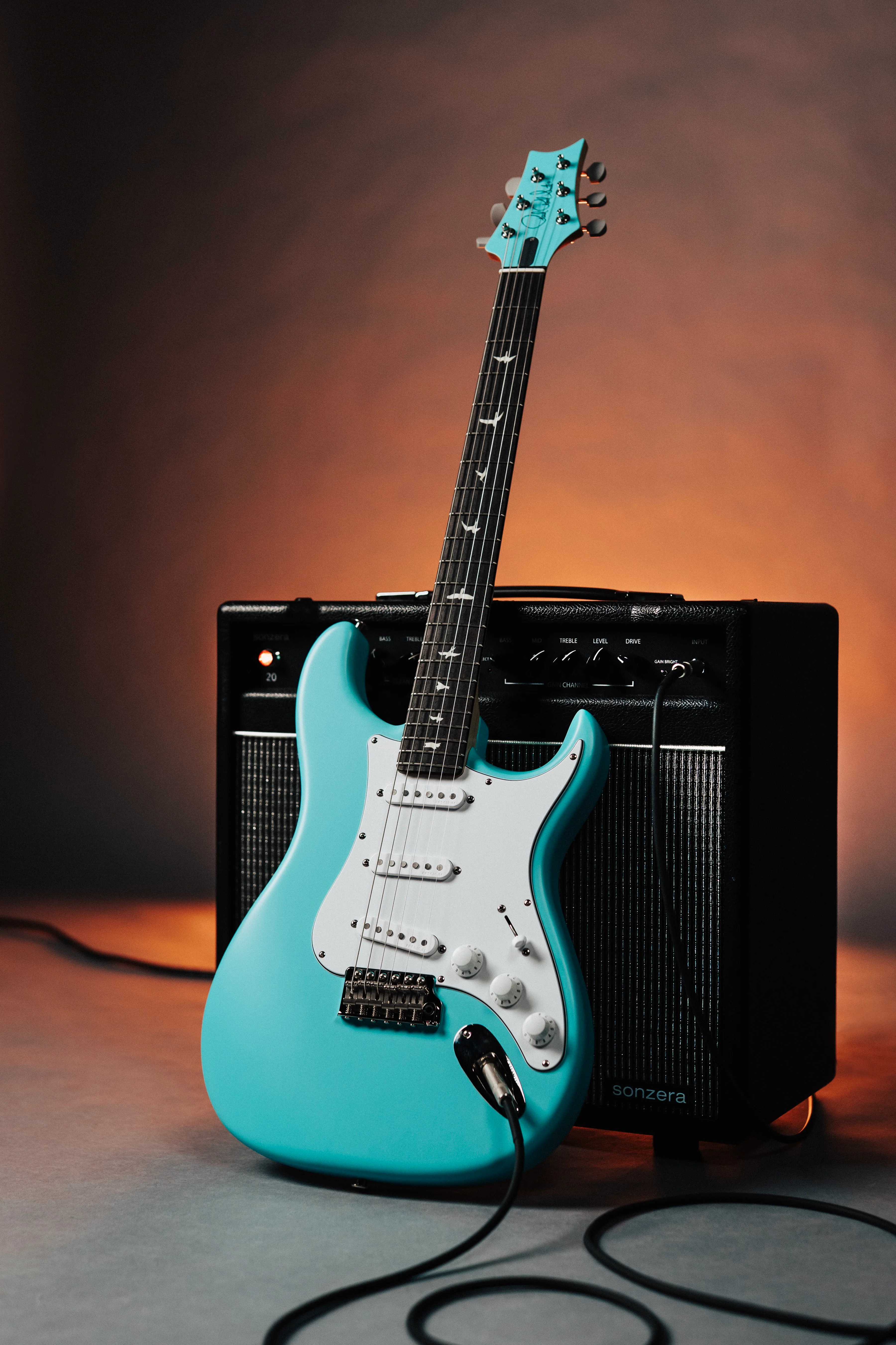 PRS Silver Sky Wild Blue Limited Edition - Coming Soon! - Image 2
