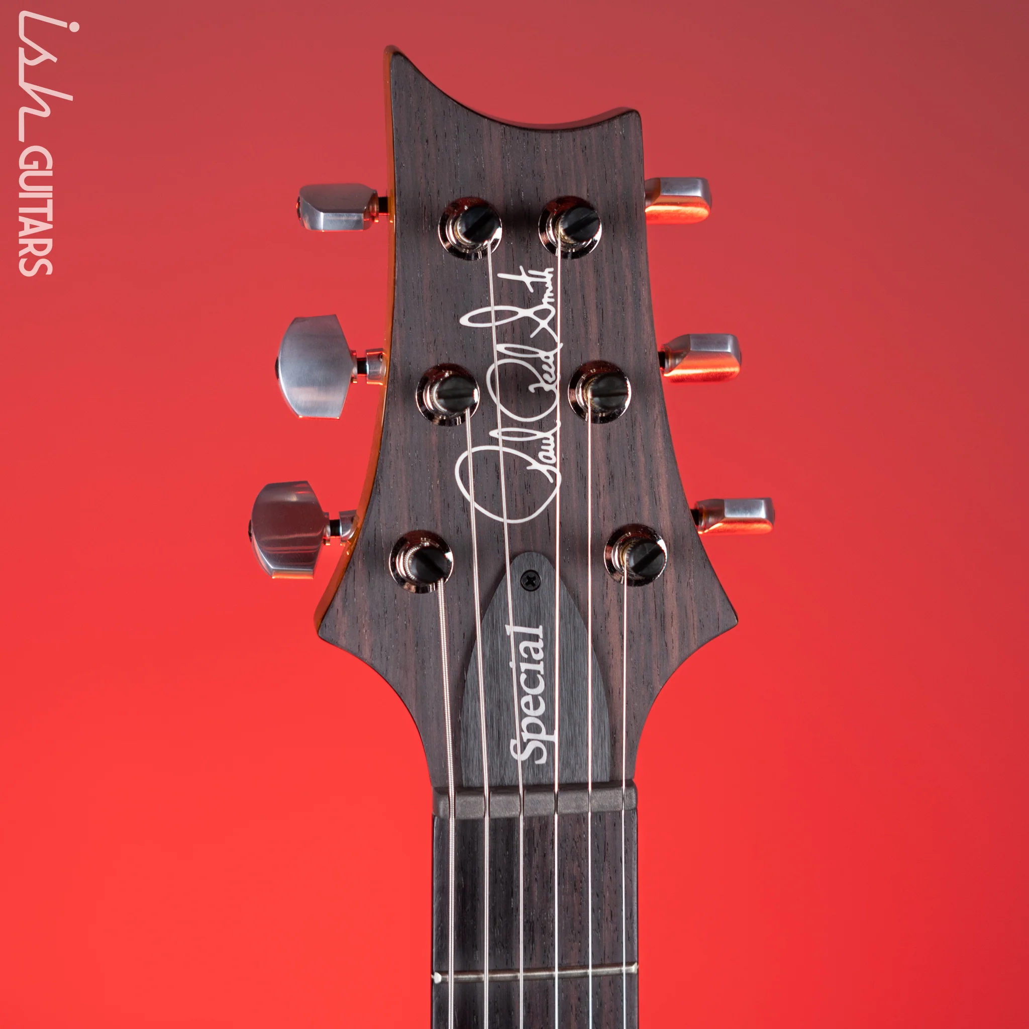 PRS Special 22 Semi-Hollow Electric Guitar Eriza Verde - Image 6