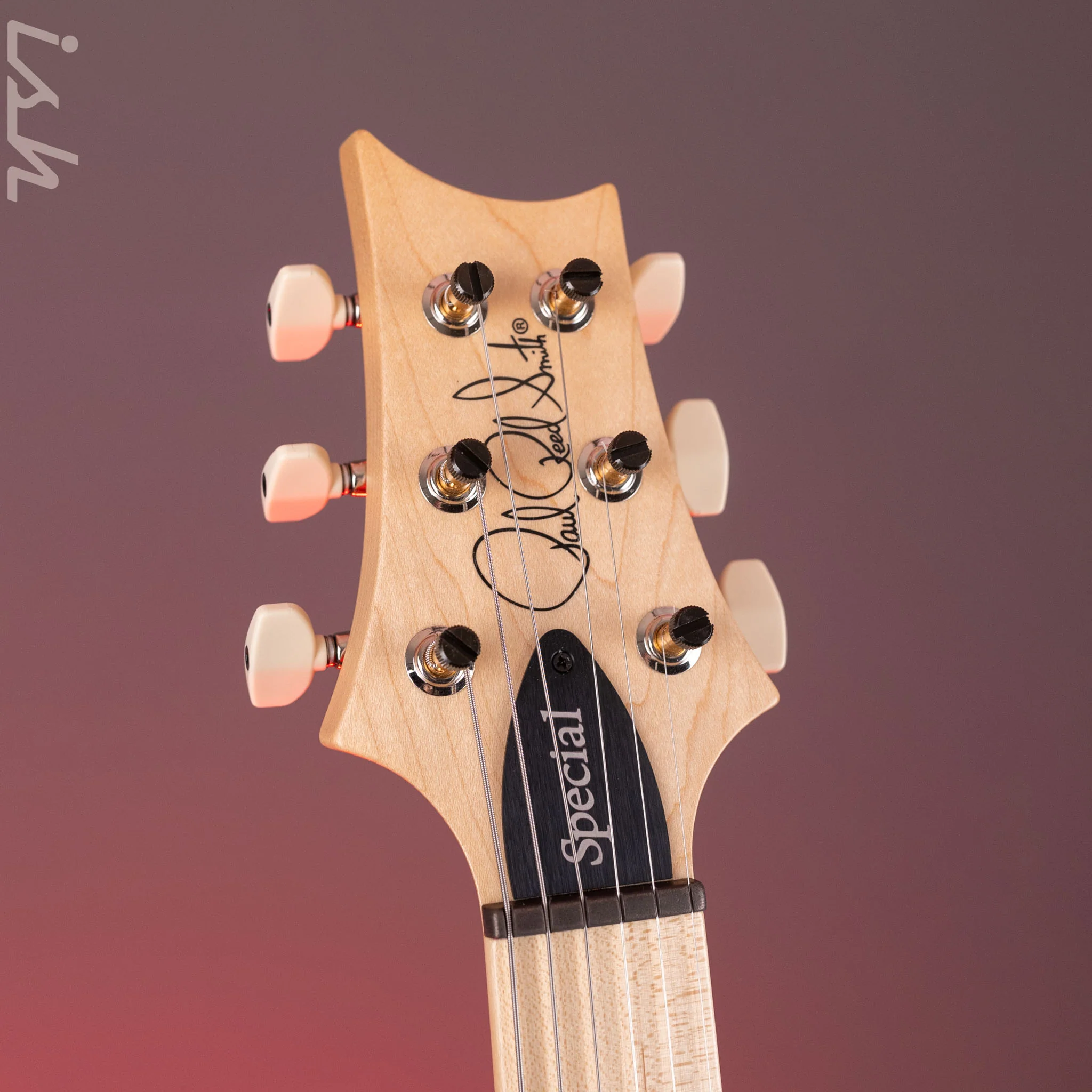 PRS Swamp Ash Special White Doghair Smokeburst - Image 6