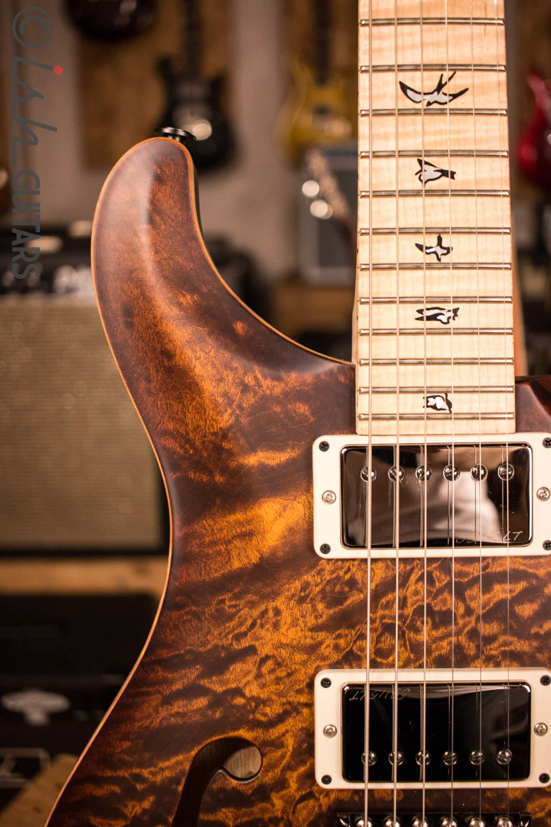 PRS Wood Library Black Goldburst Swamp Ash - Image 3