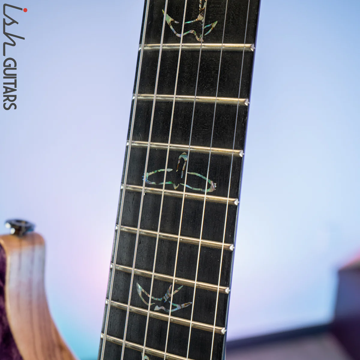 PRS Wood Library Custom 22 Soapbar Faded Purple - Image 6