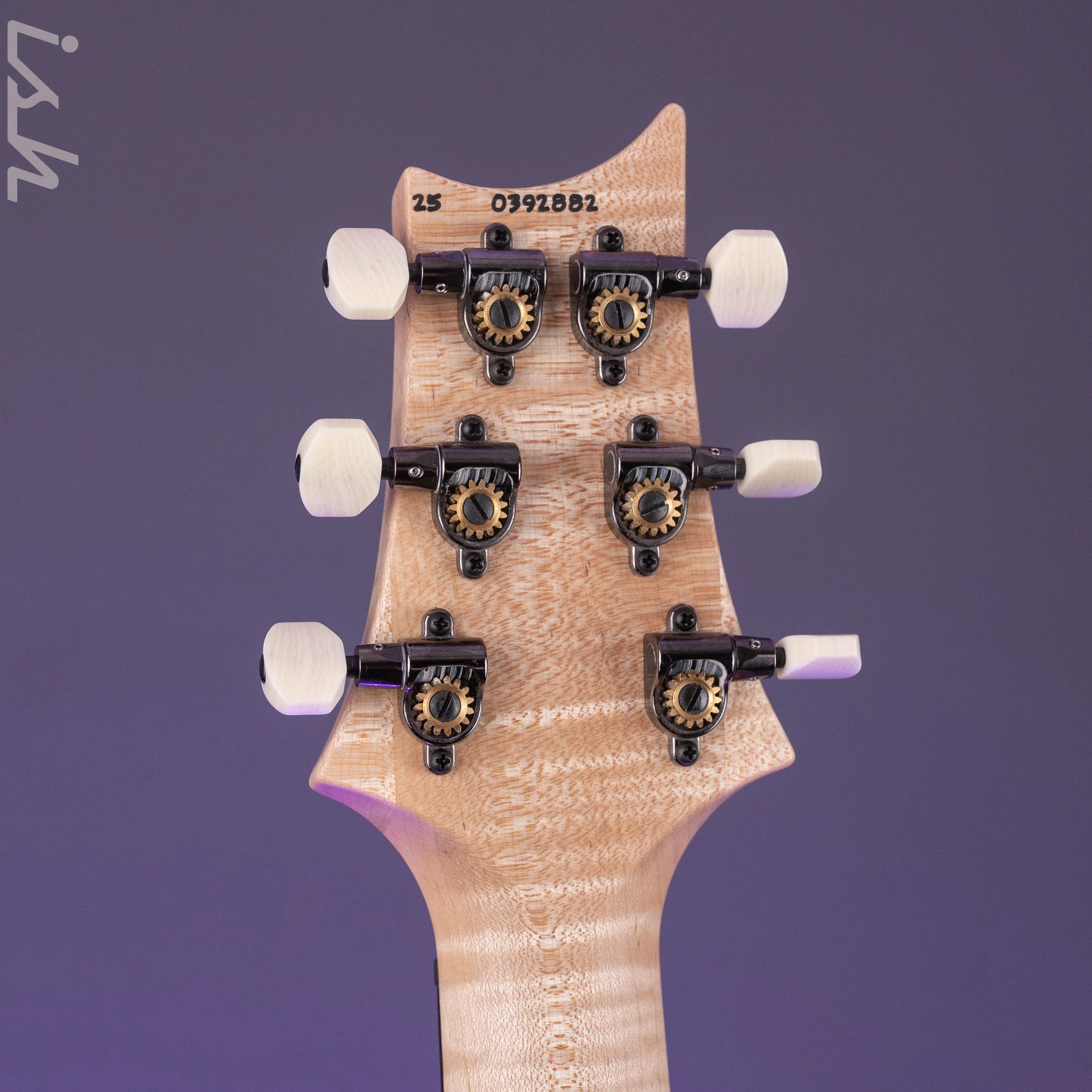 PRS Wood Library DGT Gold Top Ziricote Fretboard - Image 13