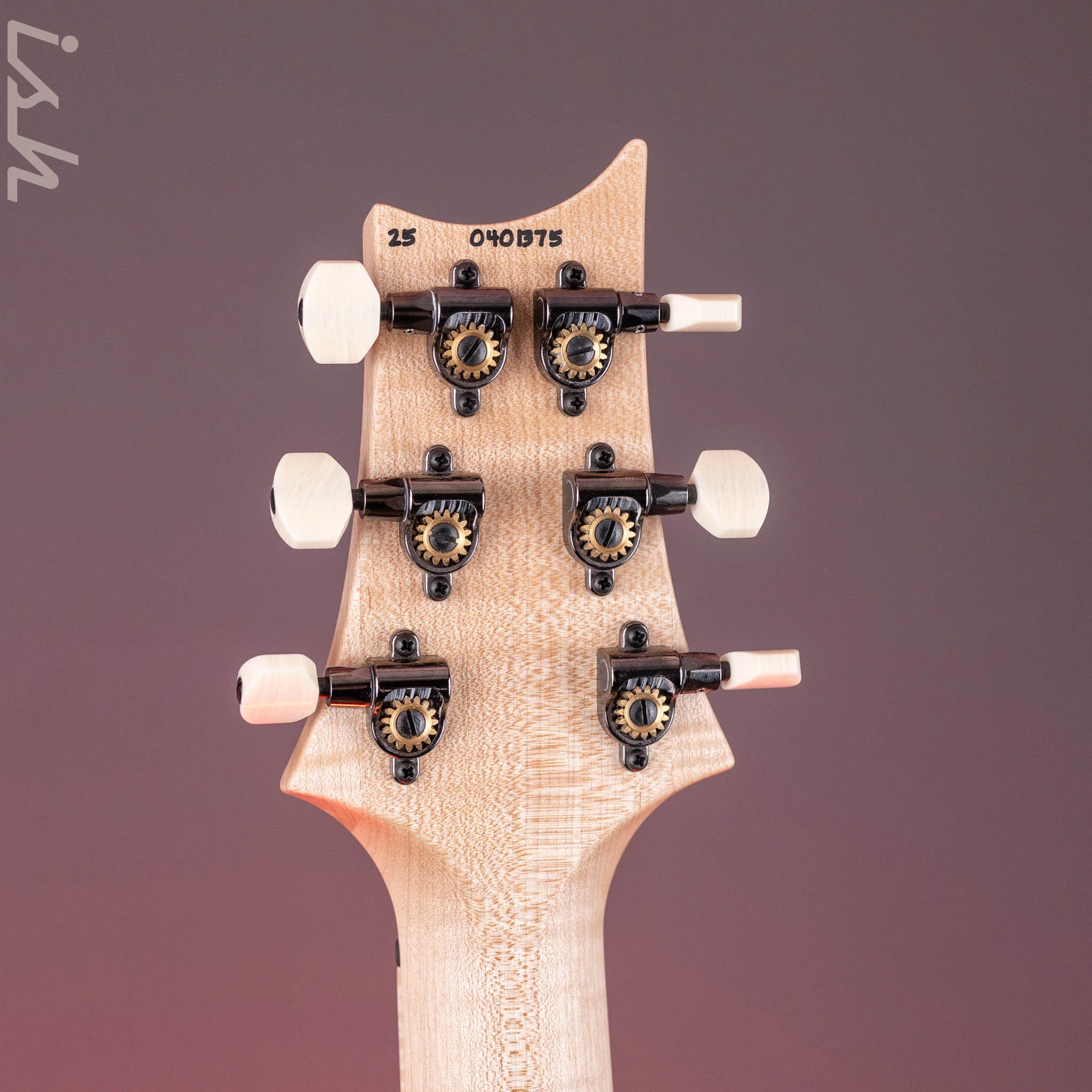 PRS Wood Library DGT Metallic Midnight - Image 12