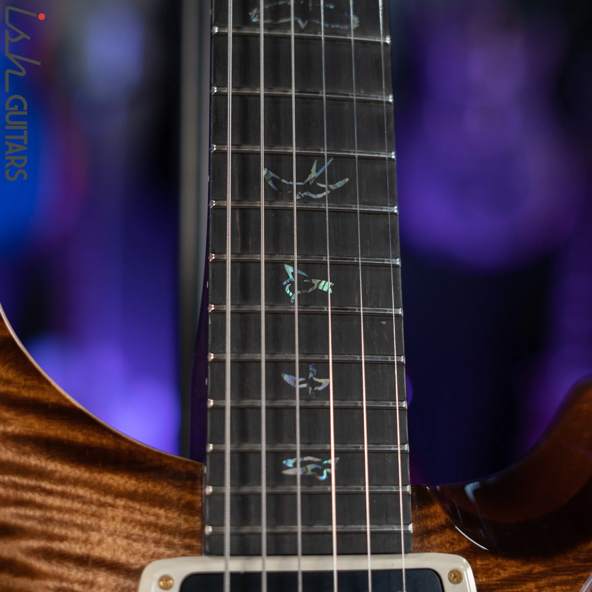 PRS Wood Library Modern Eagle V 10 Top Flame Copperhead Burst - Image 5