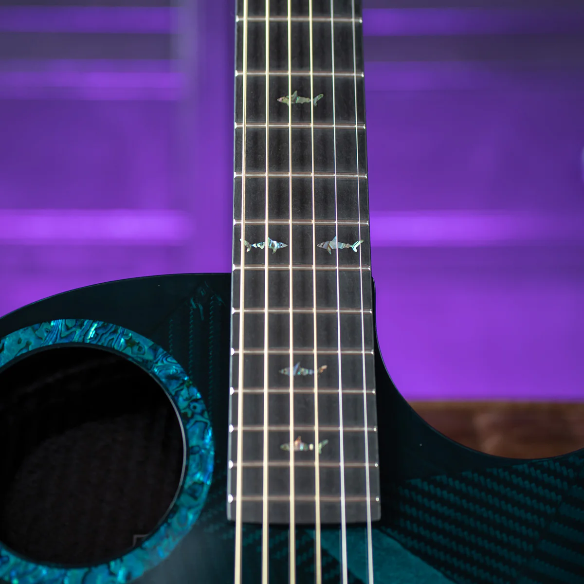 RainSong 25th Anniversary Black Ice Acoustic Guitar - Image 5