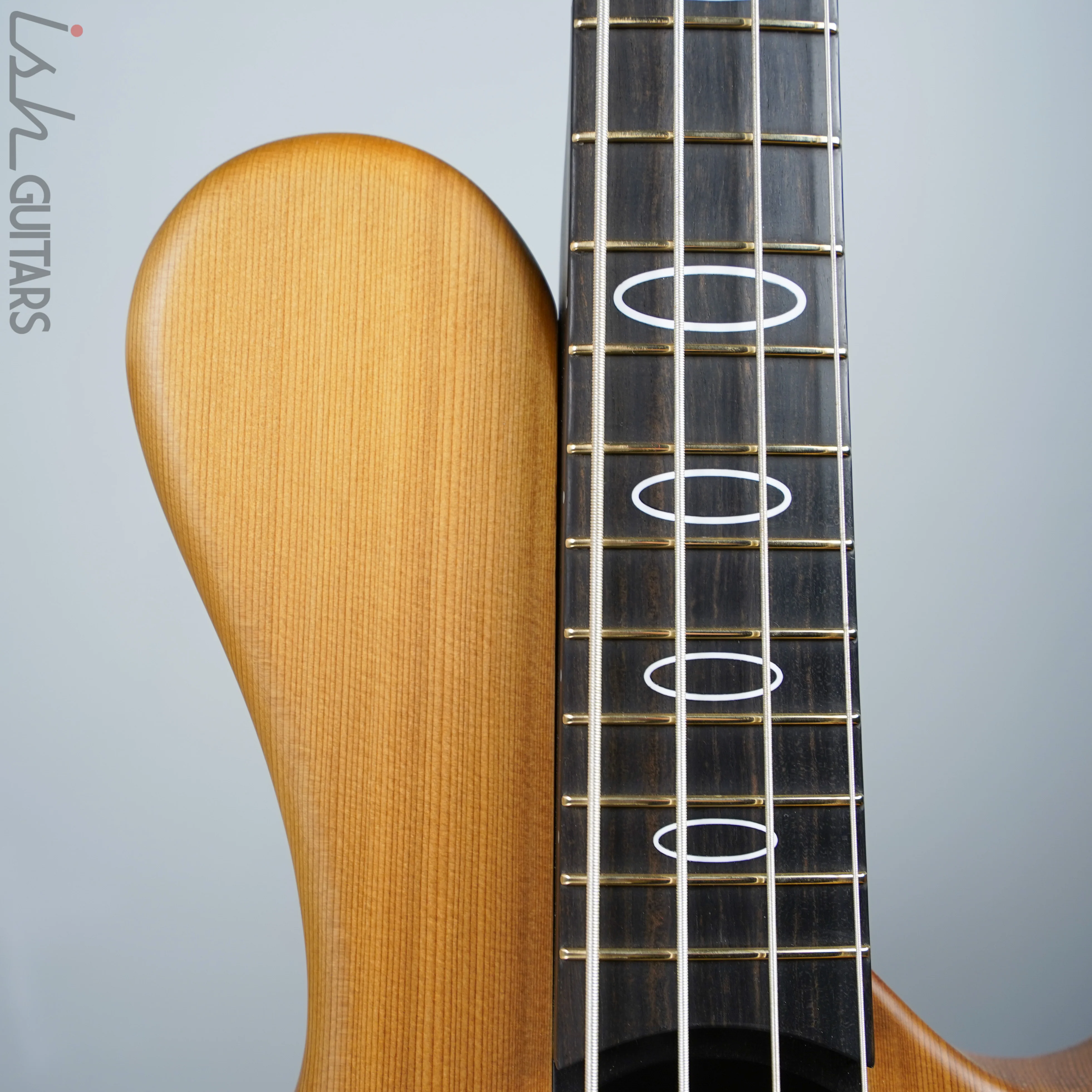 Ritter R8 Singlecut Acoustic Hollowbody Bass Piezo - First Ever! Redwood Body - Image 3