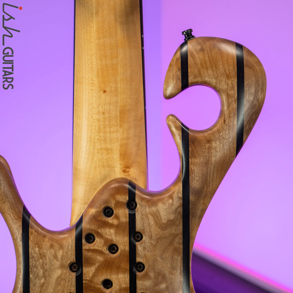 Ritter Okon 6 String Tremolo "Rainbow" Bass Guitar - Image 11