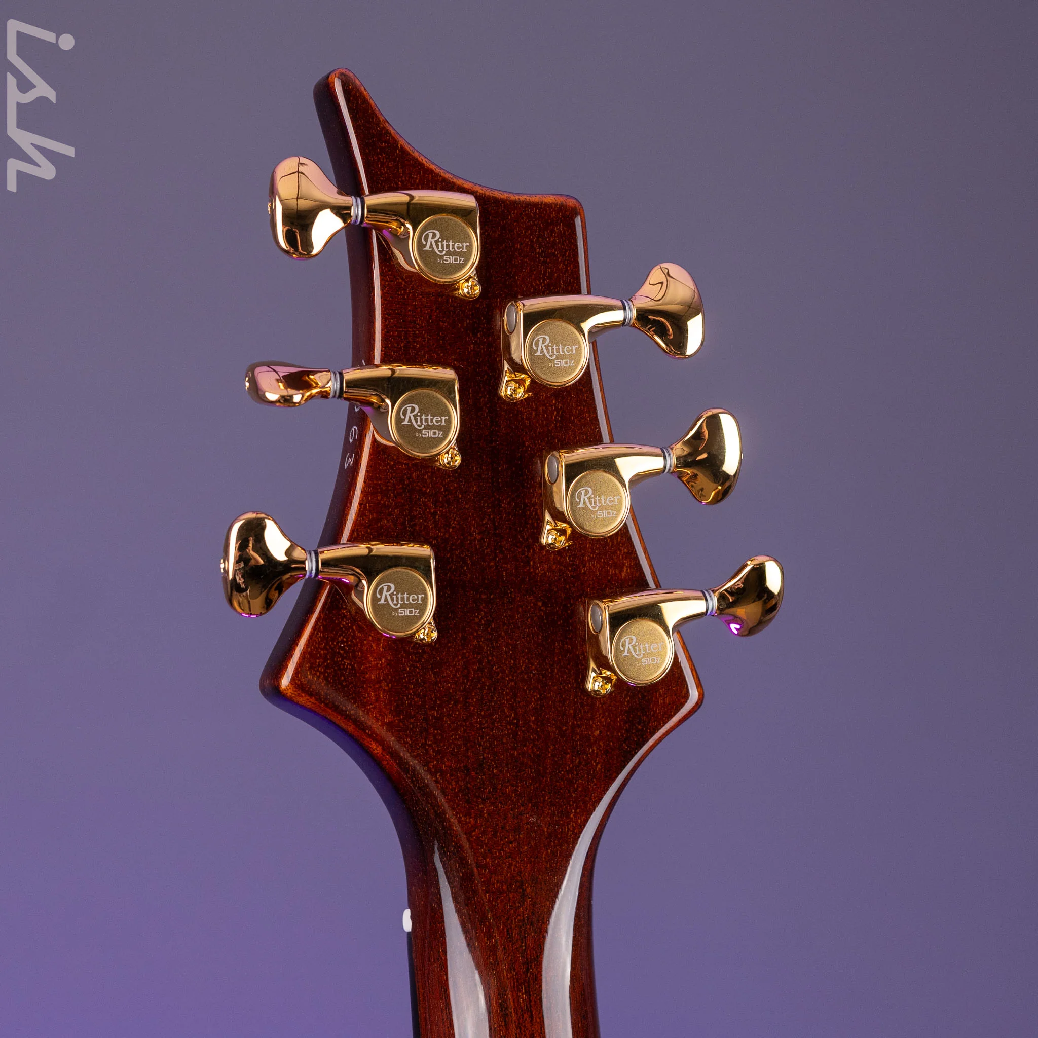 Ritter Porsch Flora Aurum Late Lounge Electric Guitar - Image 12