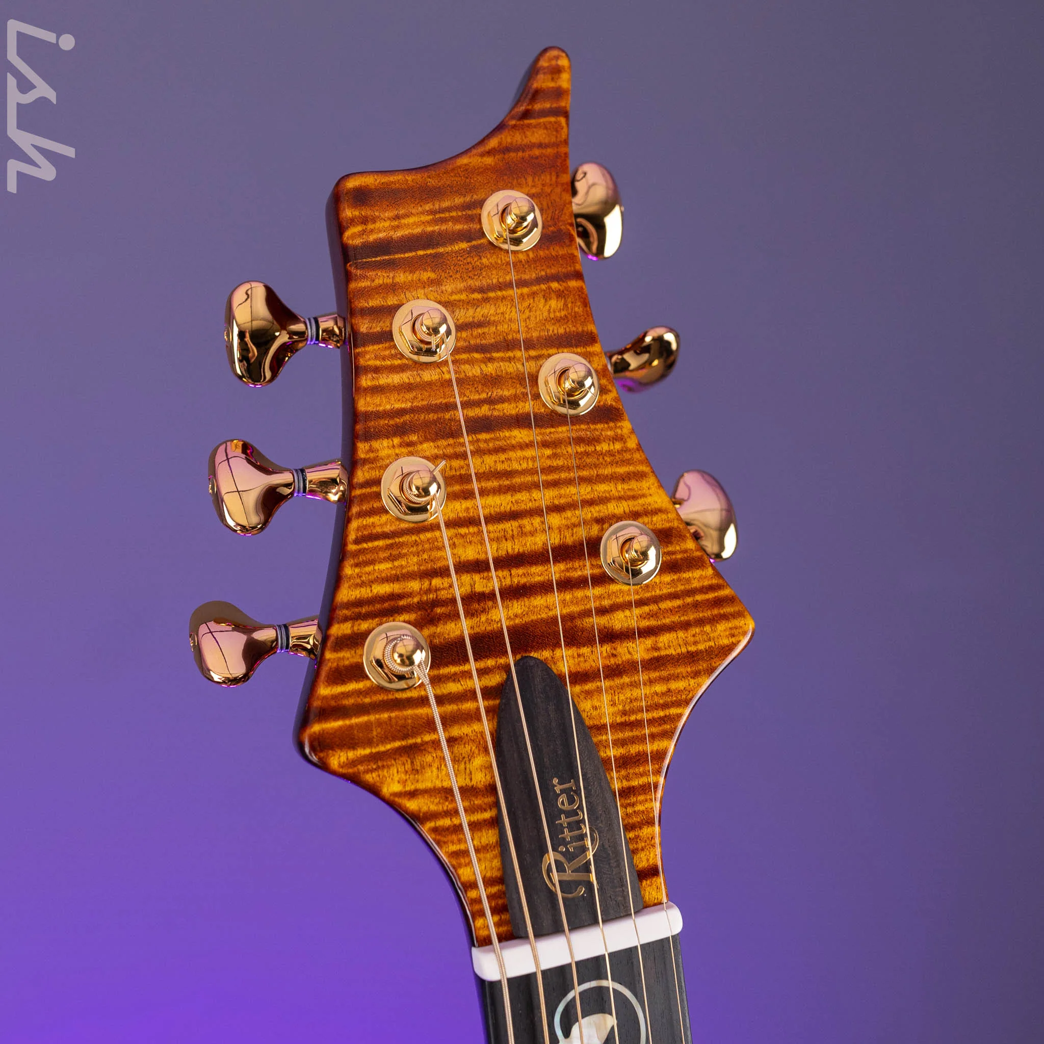 Ritter Porsch Flora Aurum Late Lounge Electric Guitar - Image 7