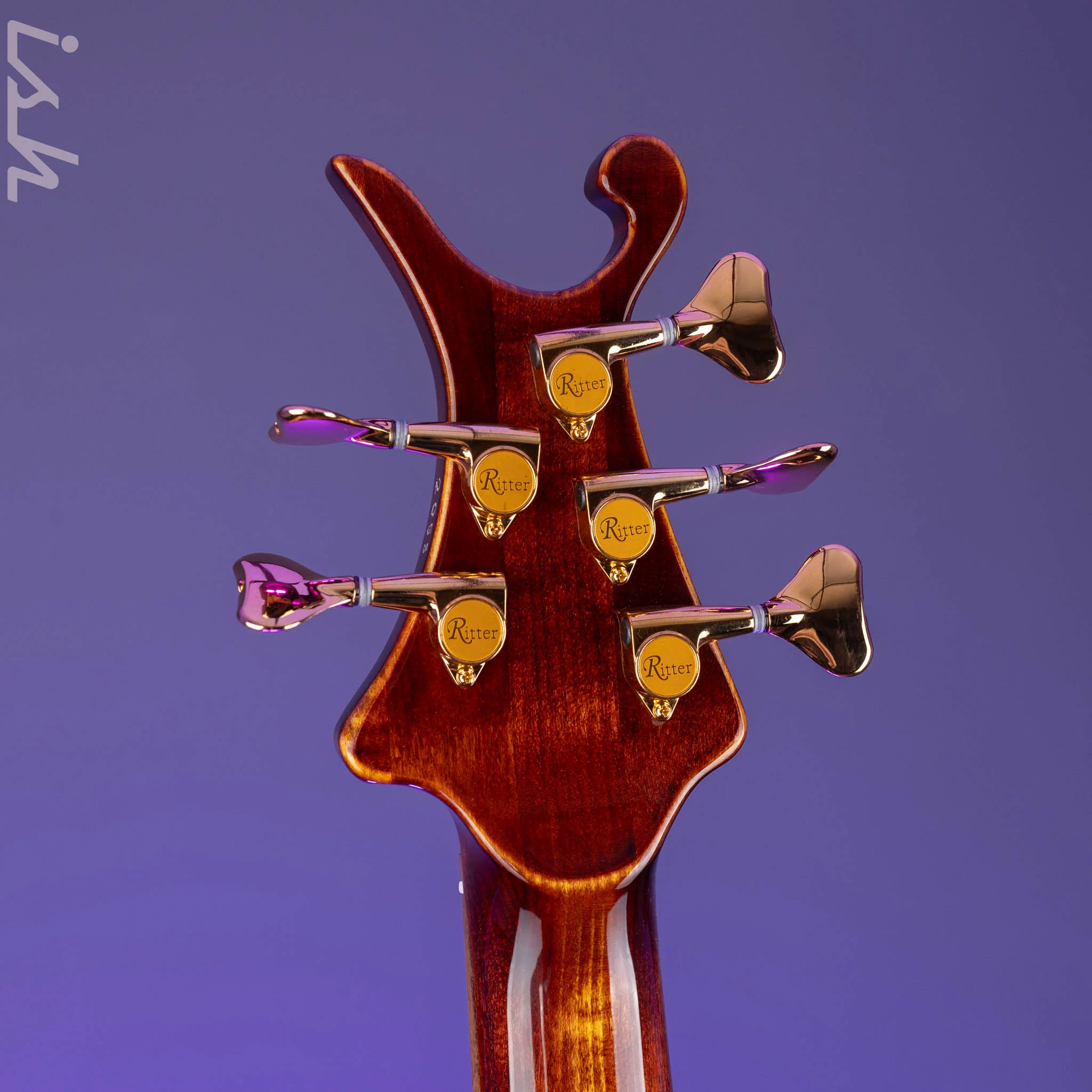 Ritter “The Late Lounge Raptor” 5 String Bass - Image 10
