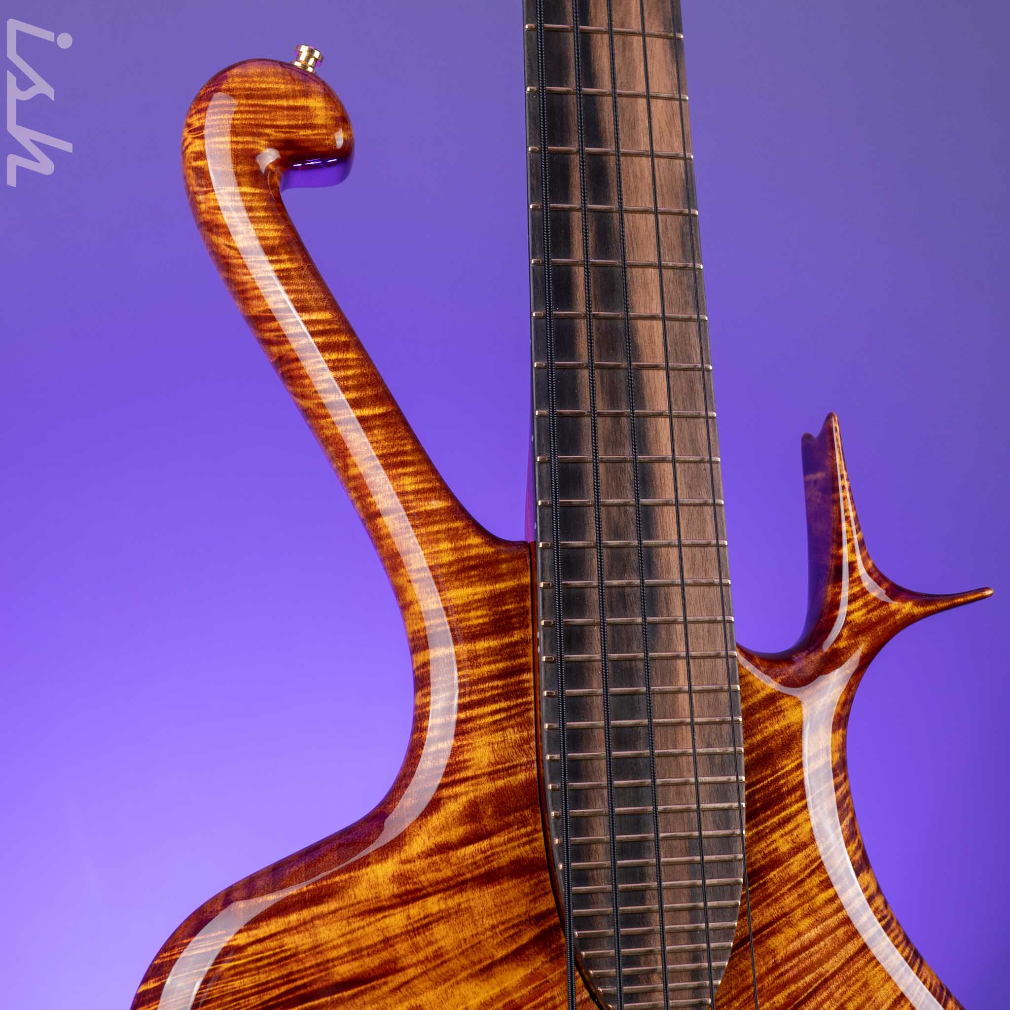 Ritter “The Late Lounge Raptor” 5 String Bass - Image 3