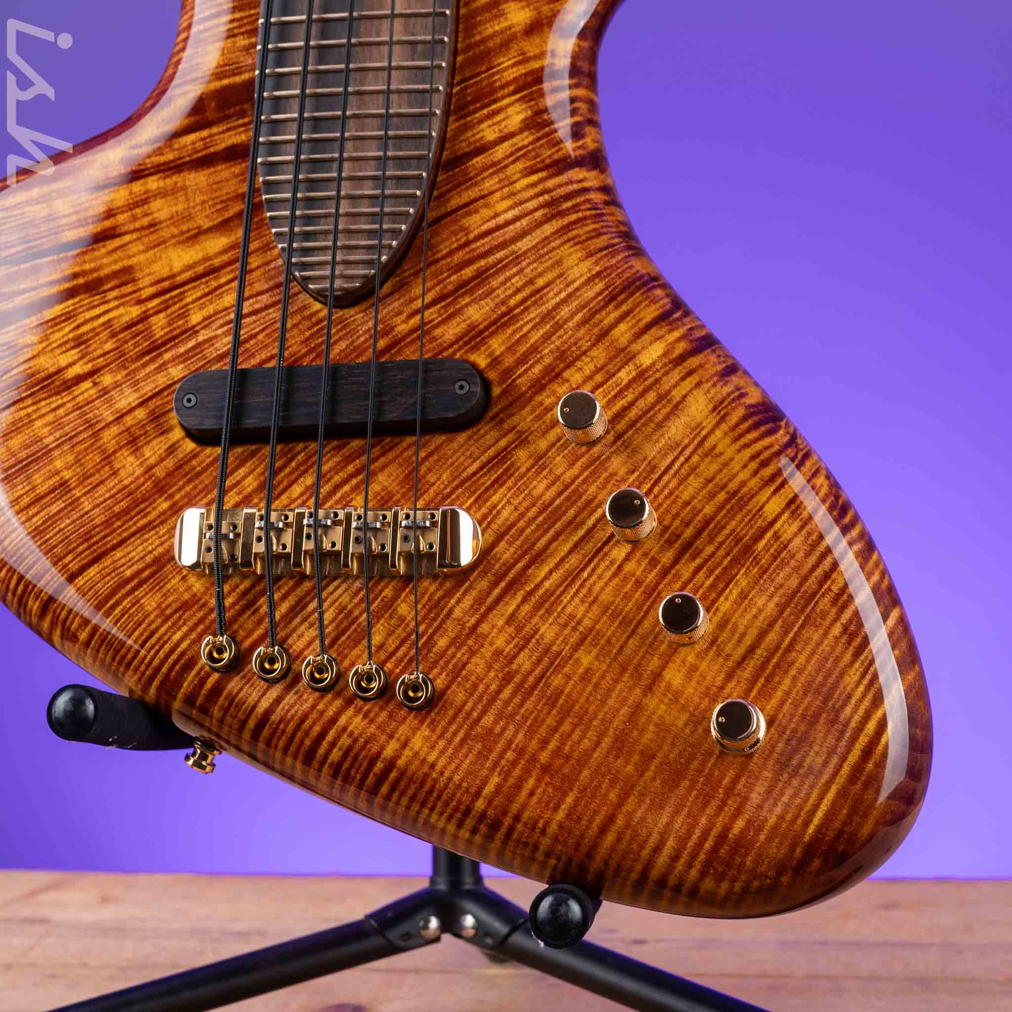 Ritter “The Late Lounge Raptor” 5 String Bass - Image 4