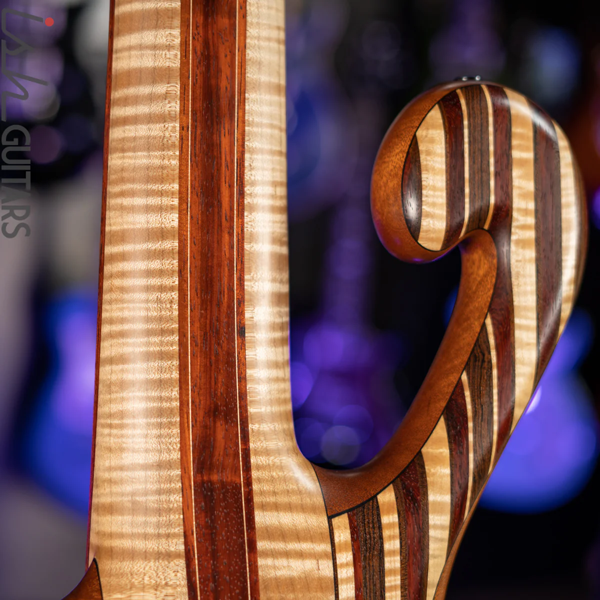 Shawn May Custom Rainbow 6-String Short Scale Bass - Image 14