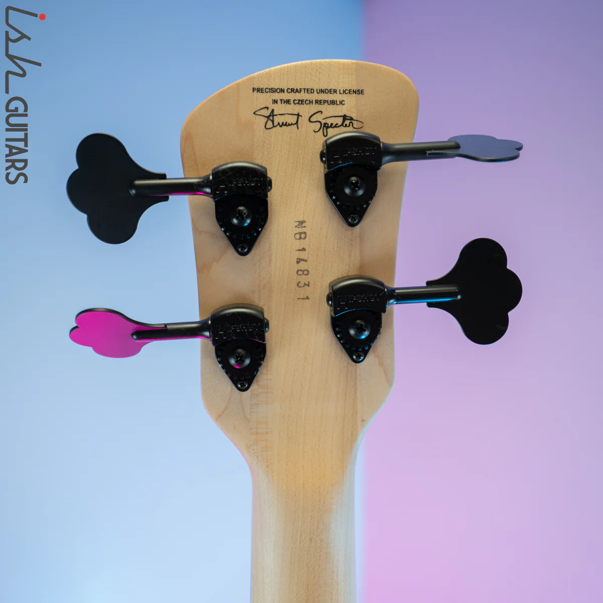 2015 Spector Euro Rebop Bantam Short Scale Bass Black Cherry - Image 14