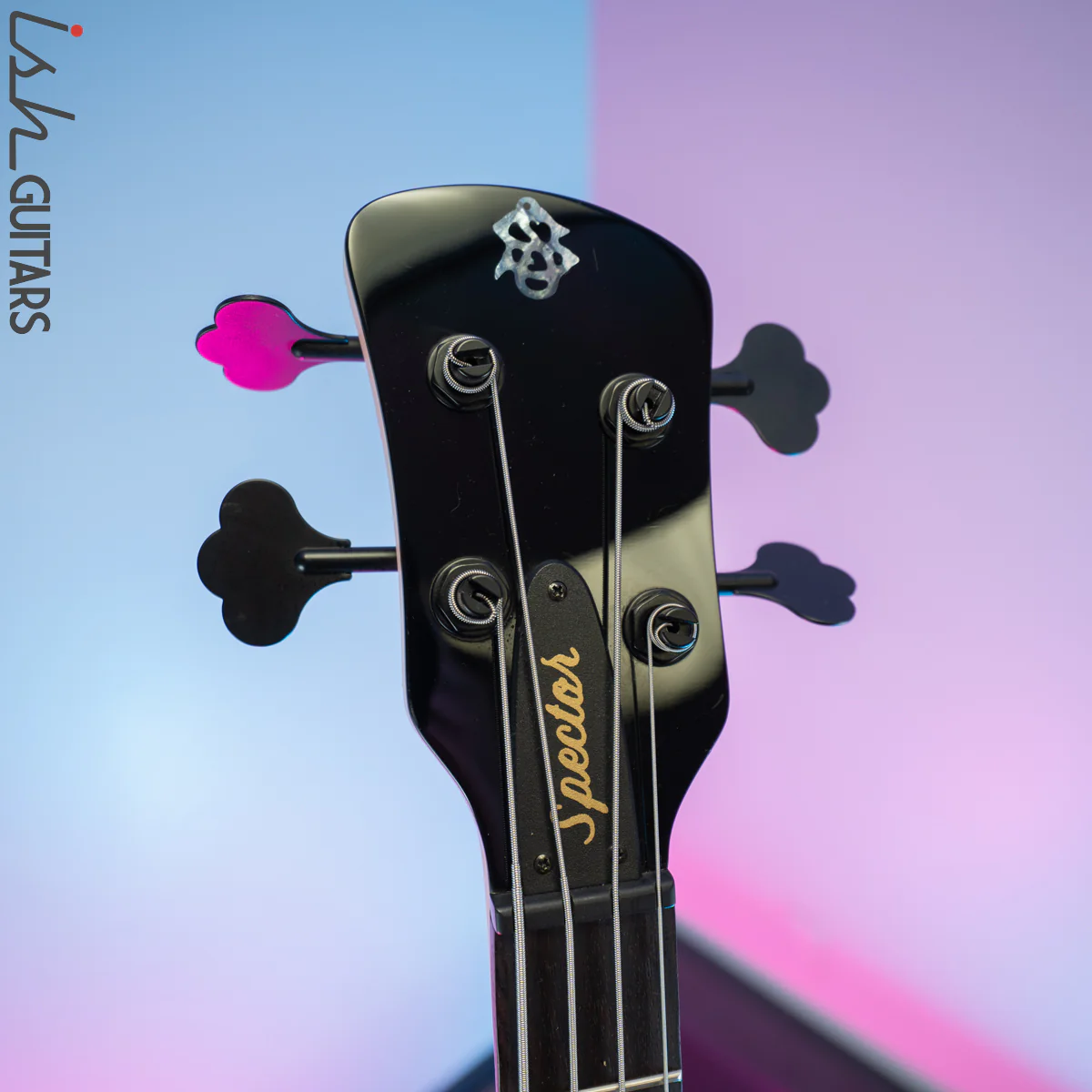 2015 Spector Euro Rebop Bantam Short Scale Bass Black Cherry - Image 6