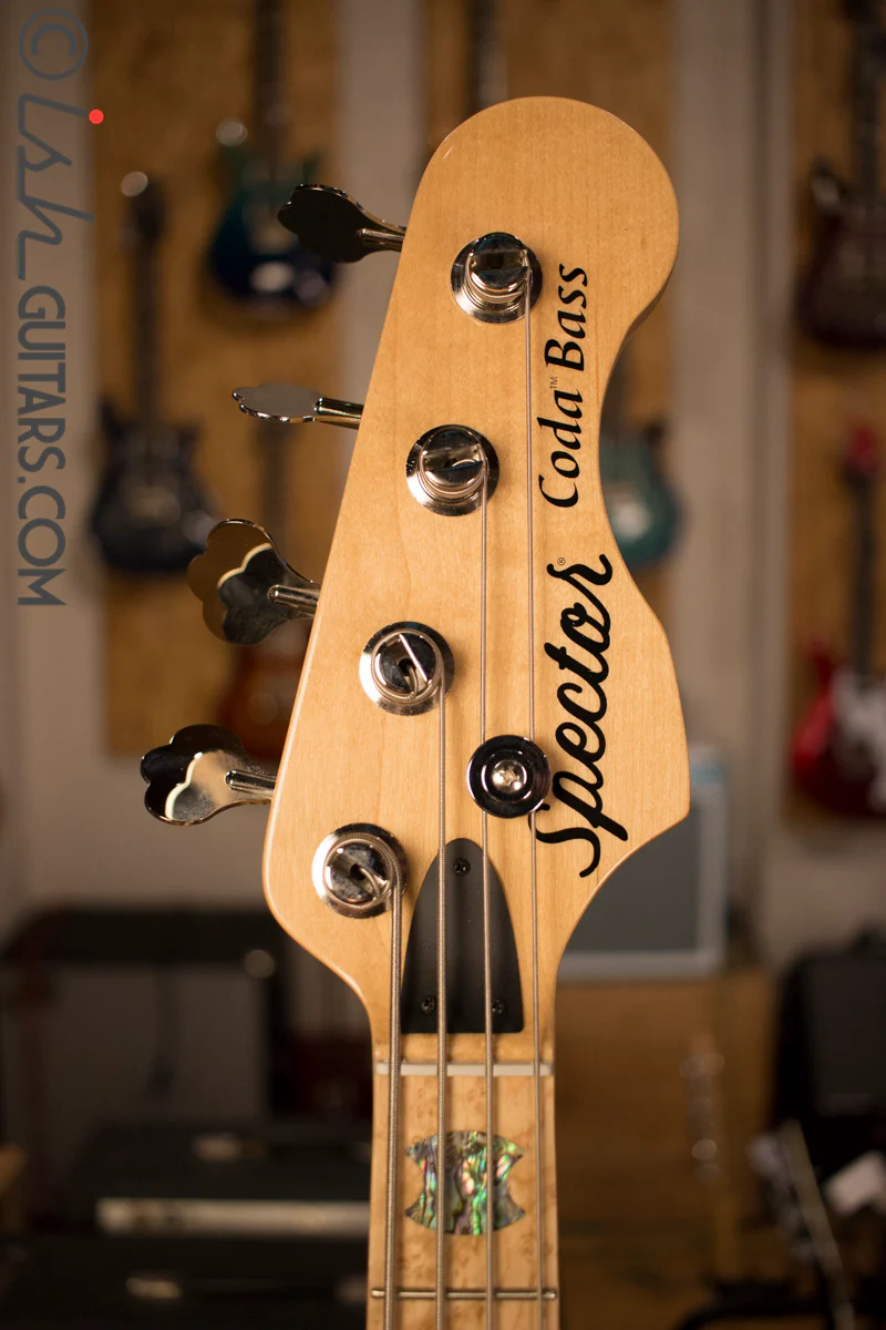 USA Spector Coda Deluxe P Precision Bass Bahama Blue Quilted Maple - Image 5