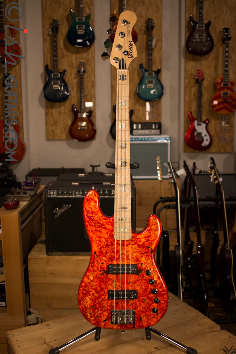 USA Spector Coda Deluxe P Precision Bass Inferno Red Buckeye Burl - Image 2