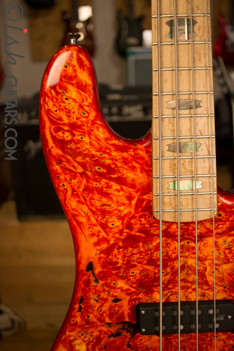 USA Spector Coda Deluxe P Precision Bass Inferno Red Buckeye Burl - Image 3