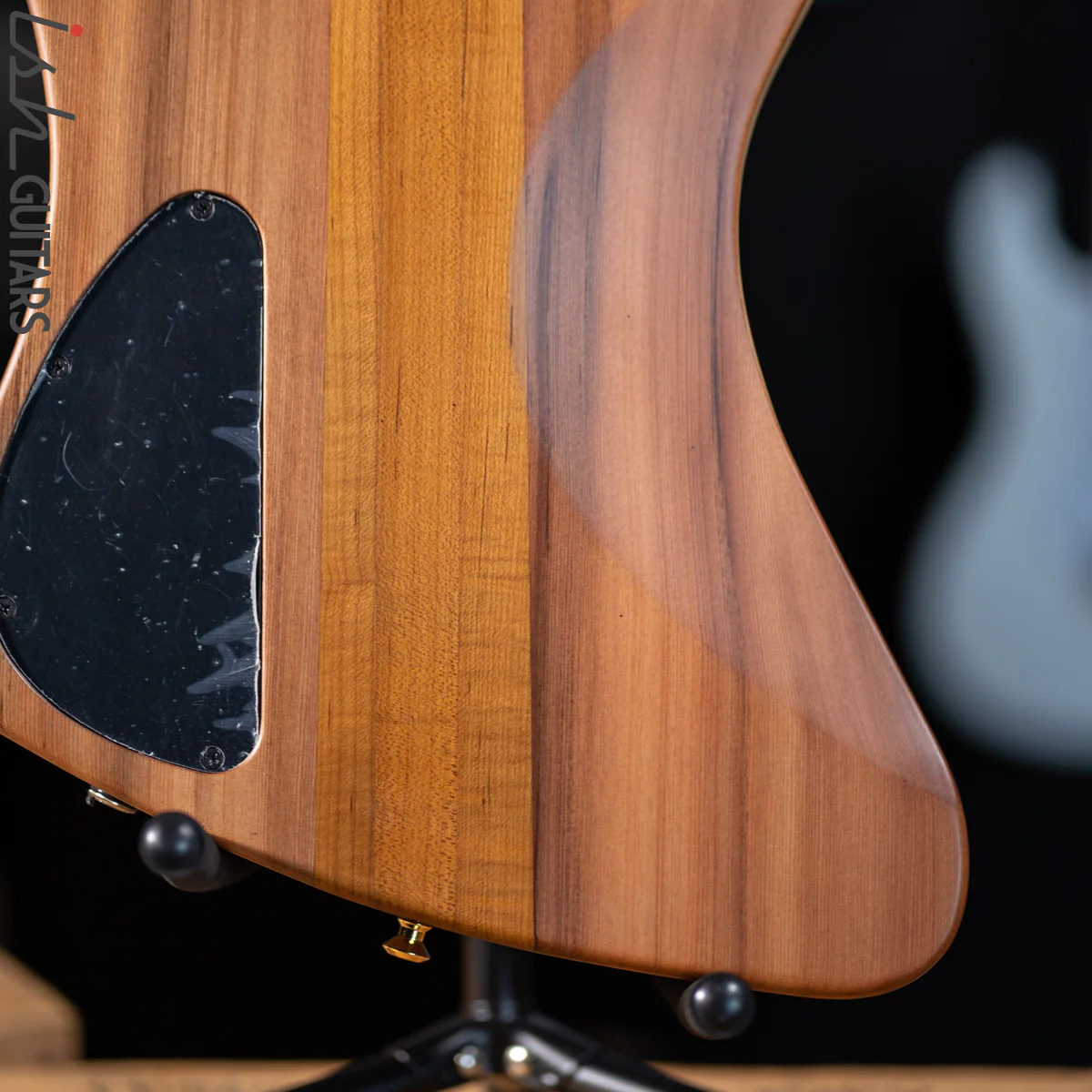 Spector Custom NS-2X Ziricote - Image 12