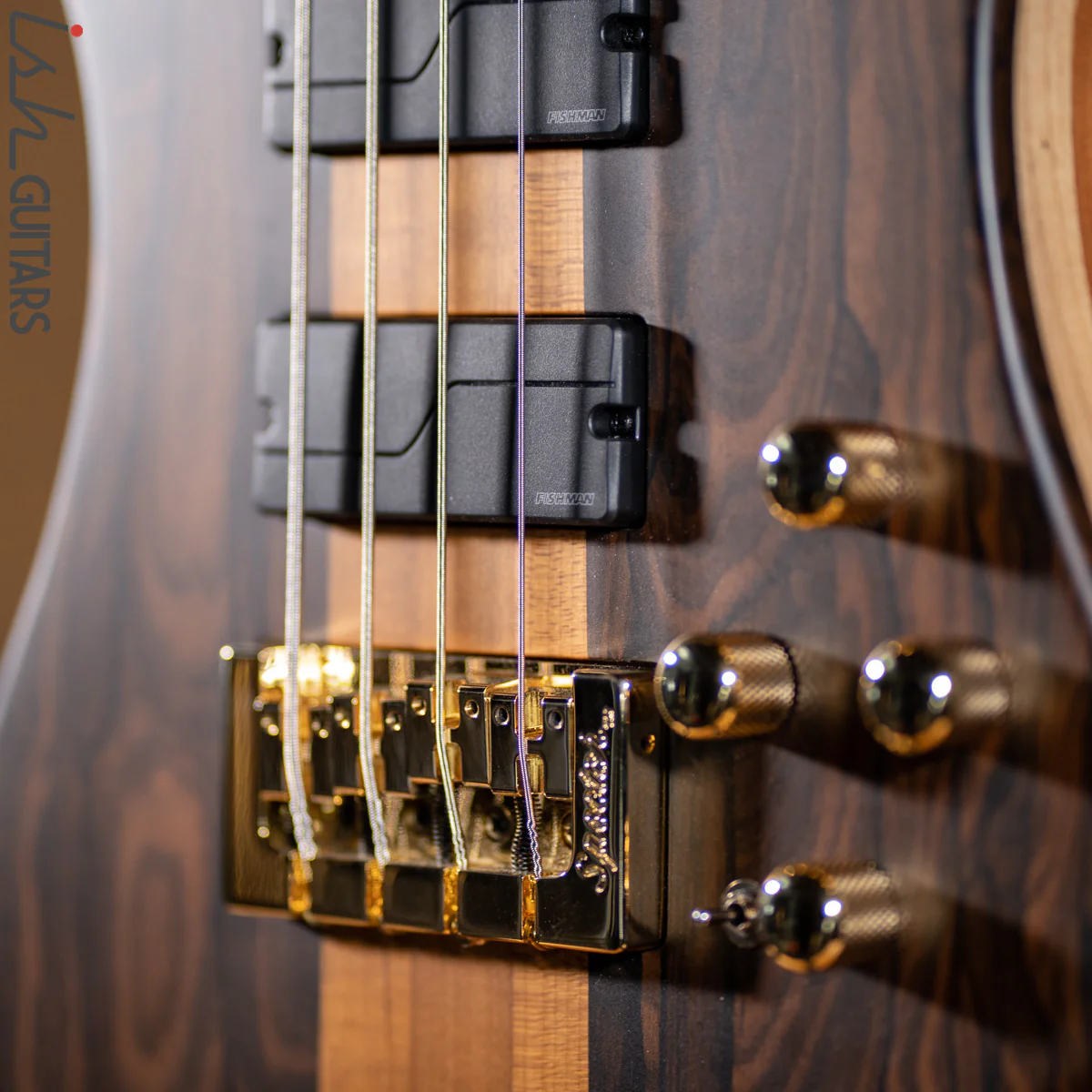 Spector Custom NS-2X Ziricote - Image 5
