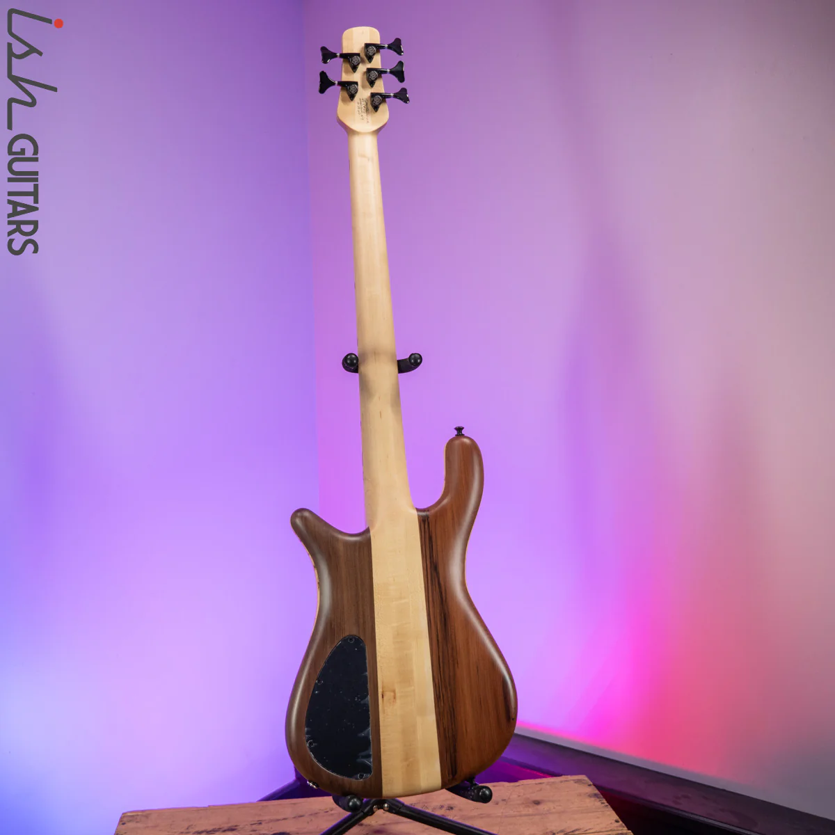 Spector USA Custom NS-5 Infused Bark Natural - Image 10