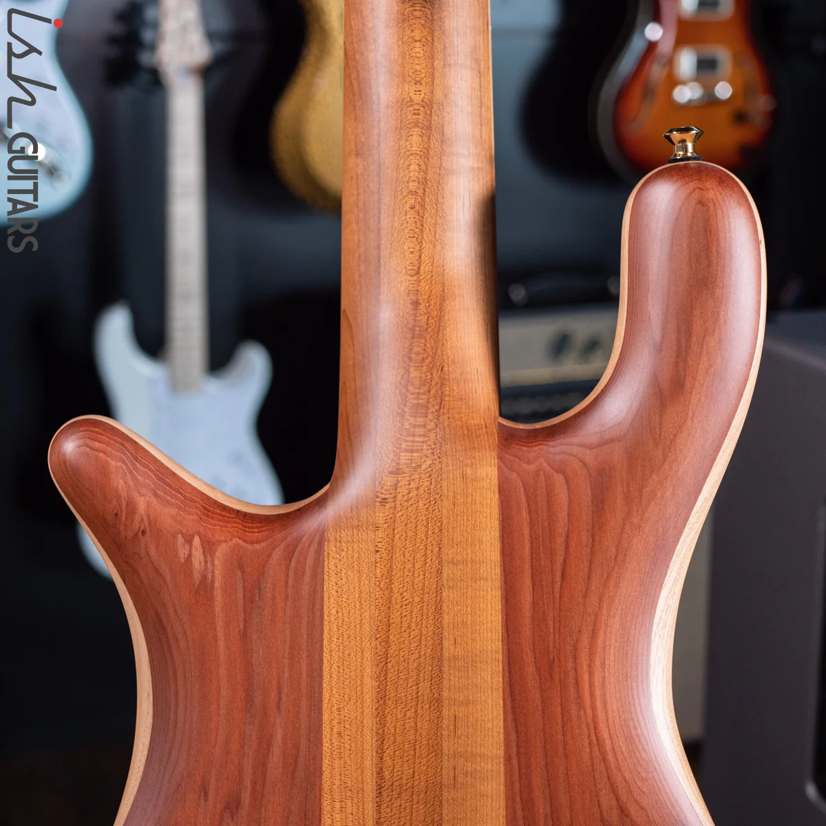 Spector Custom NS-5 Ziricote - Image 15