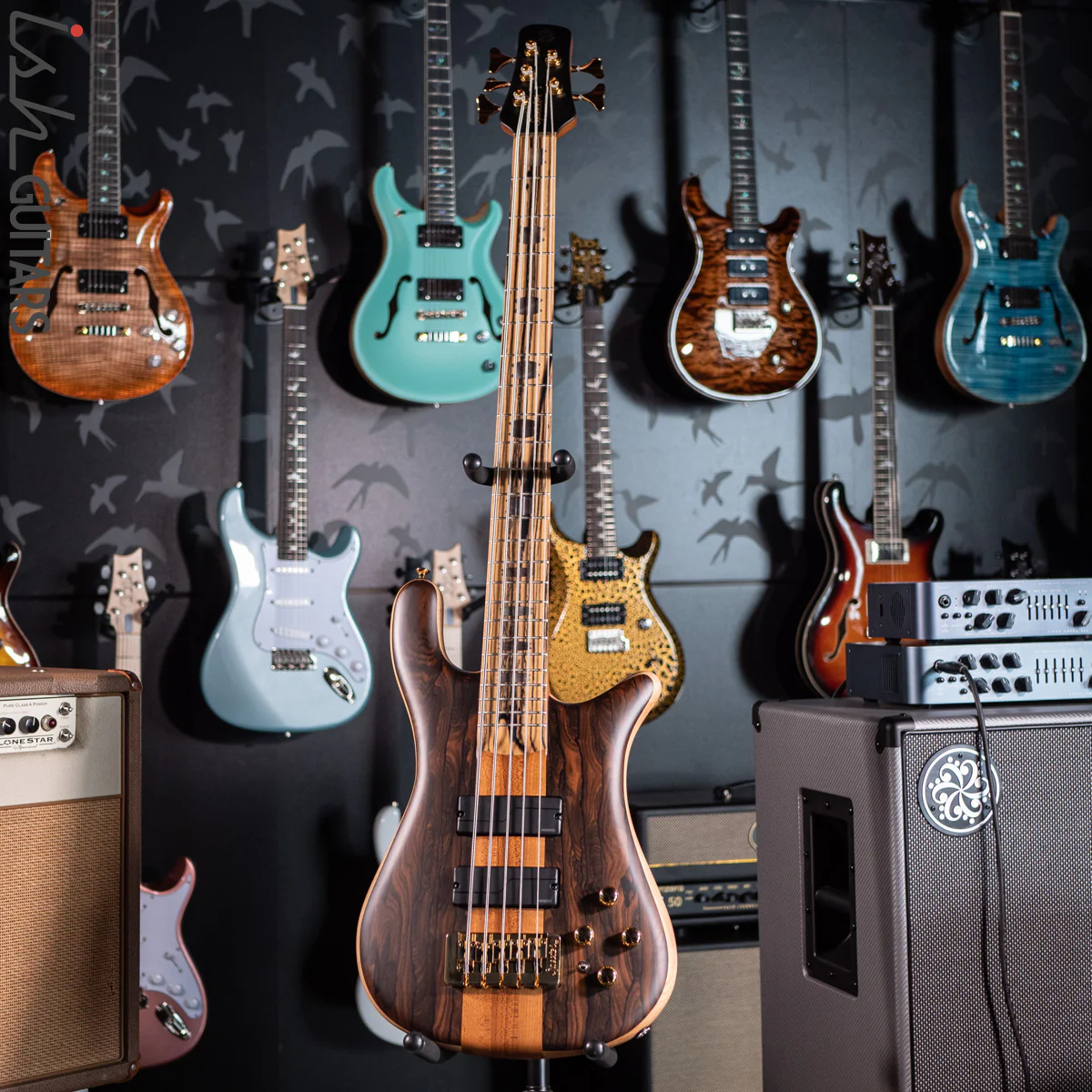 Spector Custom NS-5 Ziricote - Image 2
