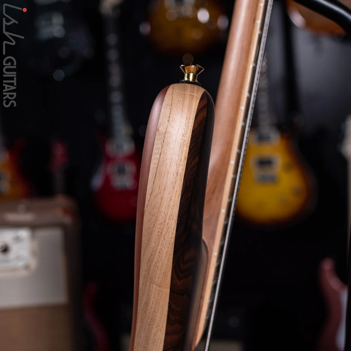 Spector Custom NS-5 Ziricote - Image 8