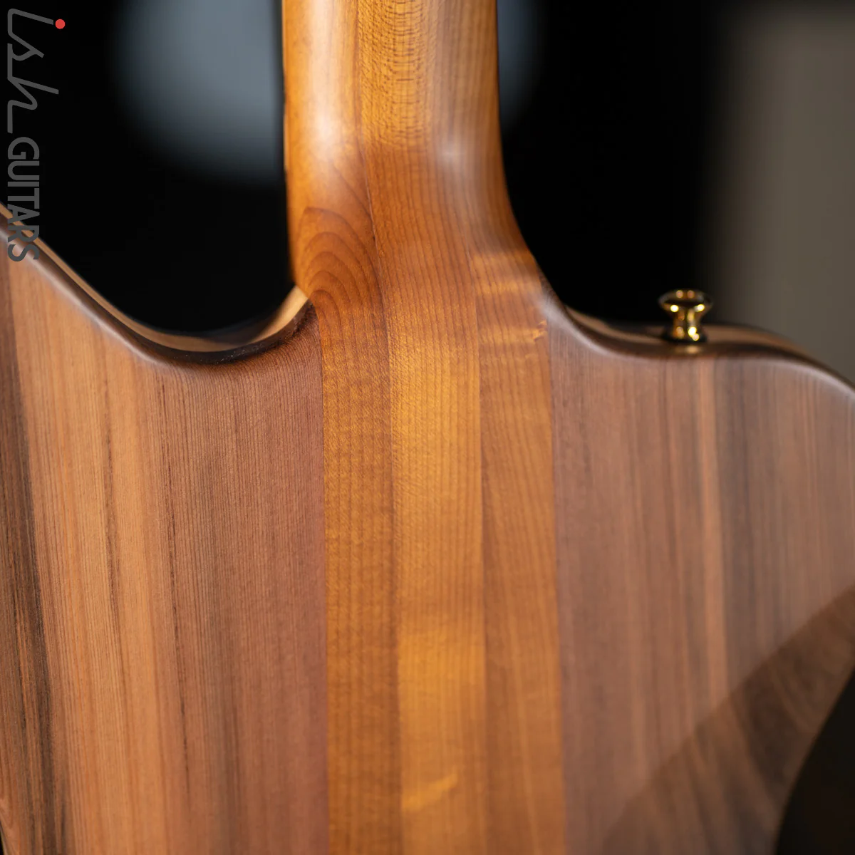 Spector Custom NS-5X Ziricote - Image 12