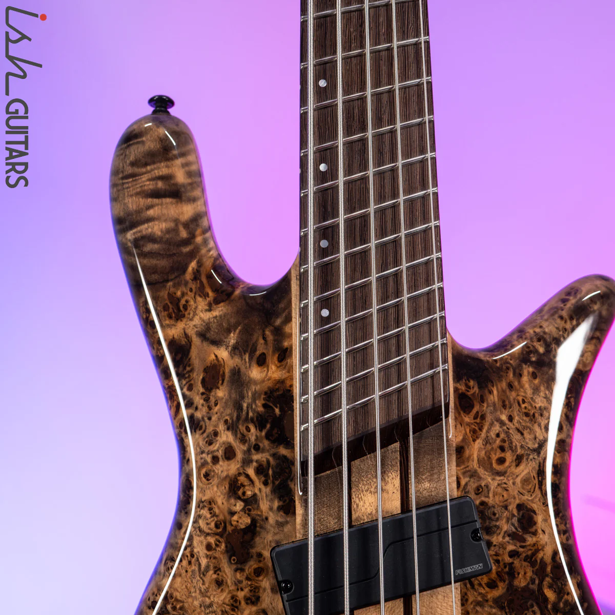 2021 Spector NS Dimension 5 Multi-Scale Super Faded Black Gloss - Image 3