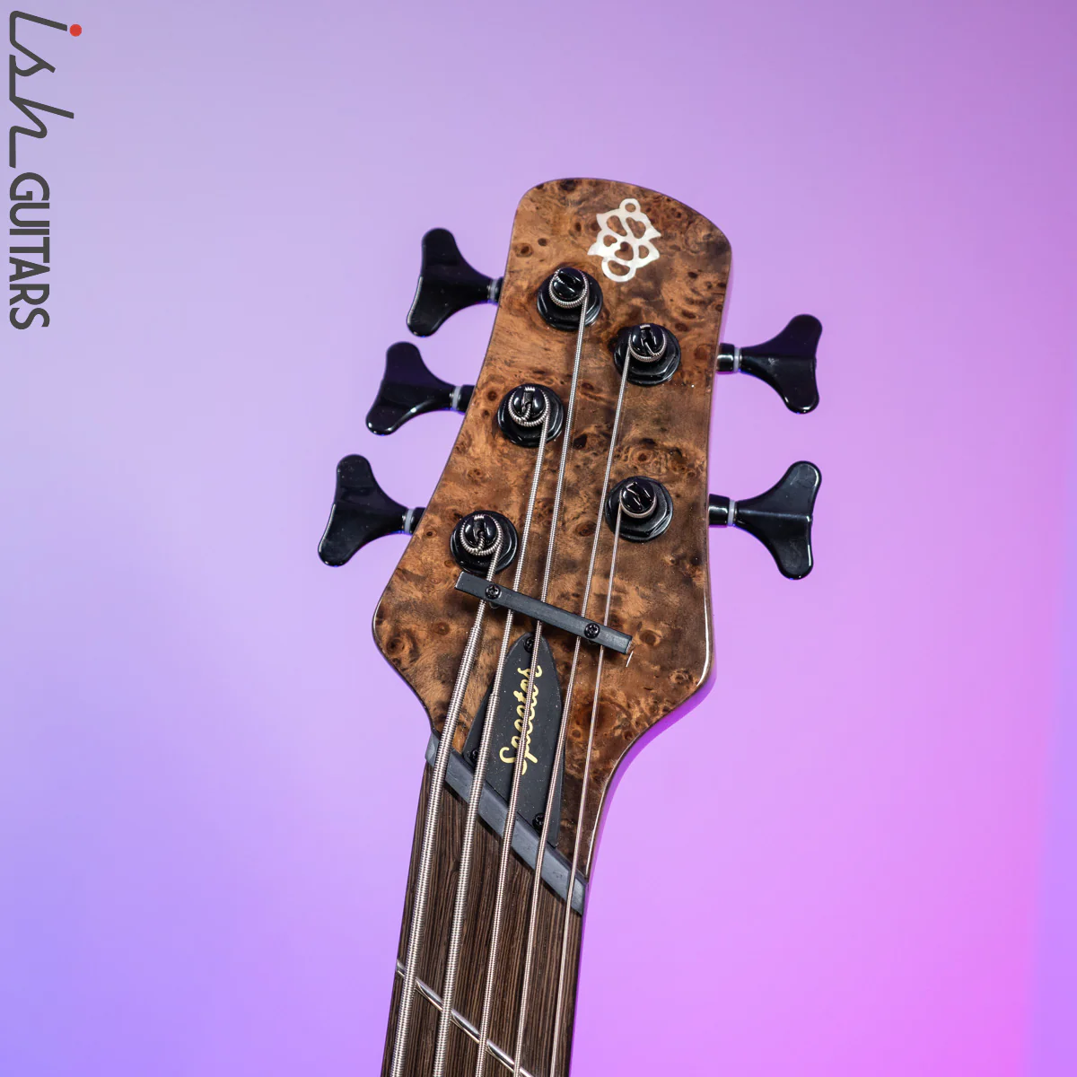 2021 Spector NS Dimension 5 Multi-Scale Super Faded Black Gloss - Image 7