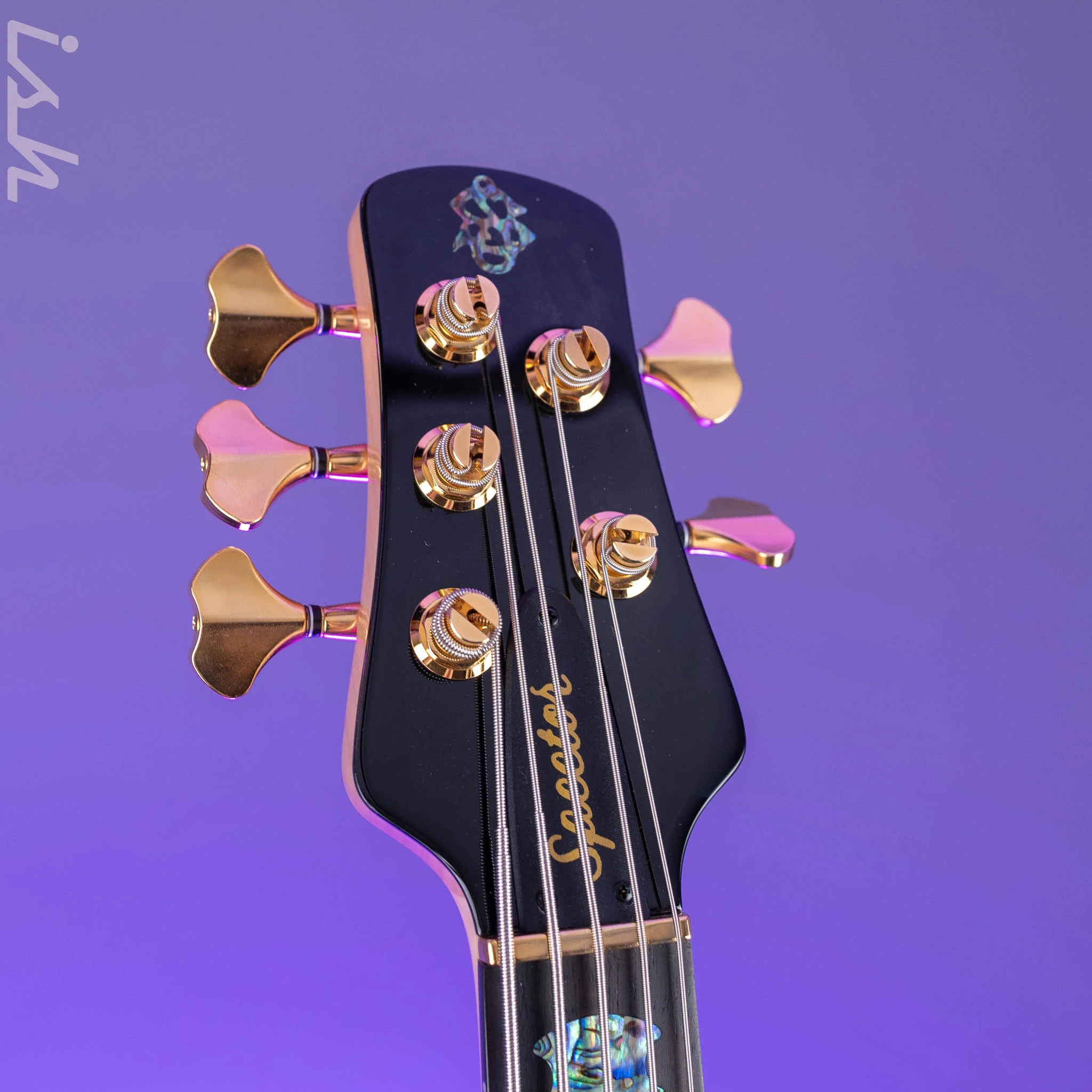 Spector Euro 5 Custom Bass Natural Gloss - Image 5