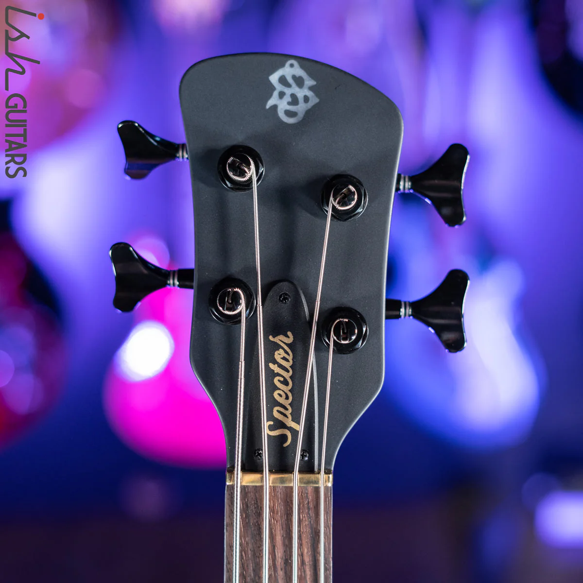 Spector Euro4 LX Fretless Trans Black Stain Matte - Image 6