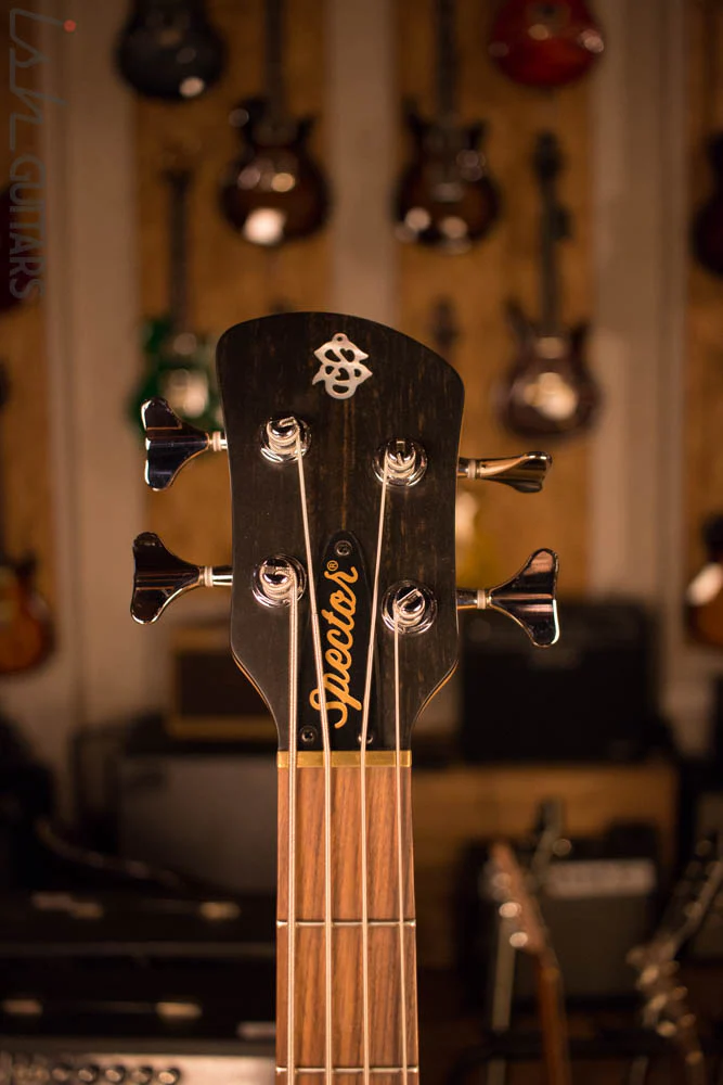 Spector Forte 4 Retro Walnut Body DiMarzio Pickups Bass Player Live Display - Image 5