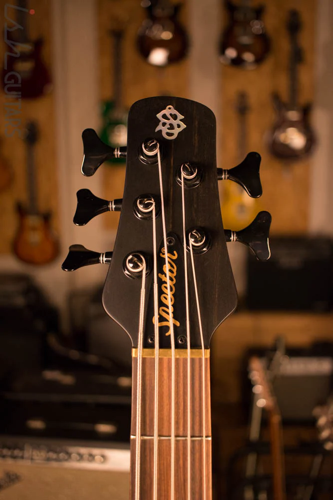 Spector Forte 5 Black Cherry Aguilar Super Double - Image 5