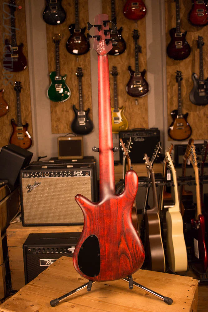 Spector Forte 5 Black Cherry Aguilar Super Double - Image 8