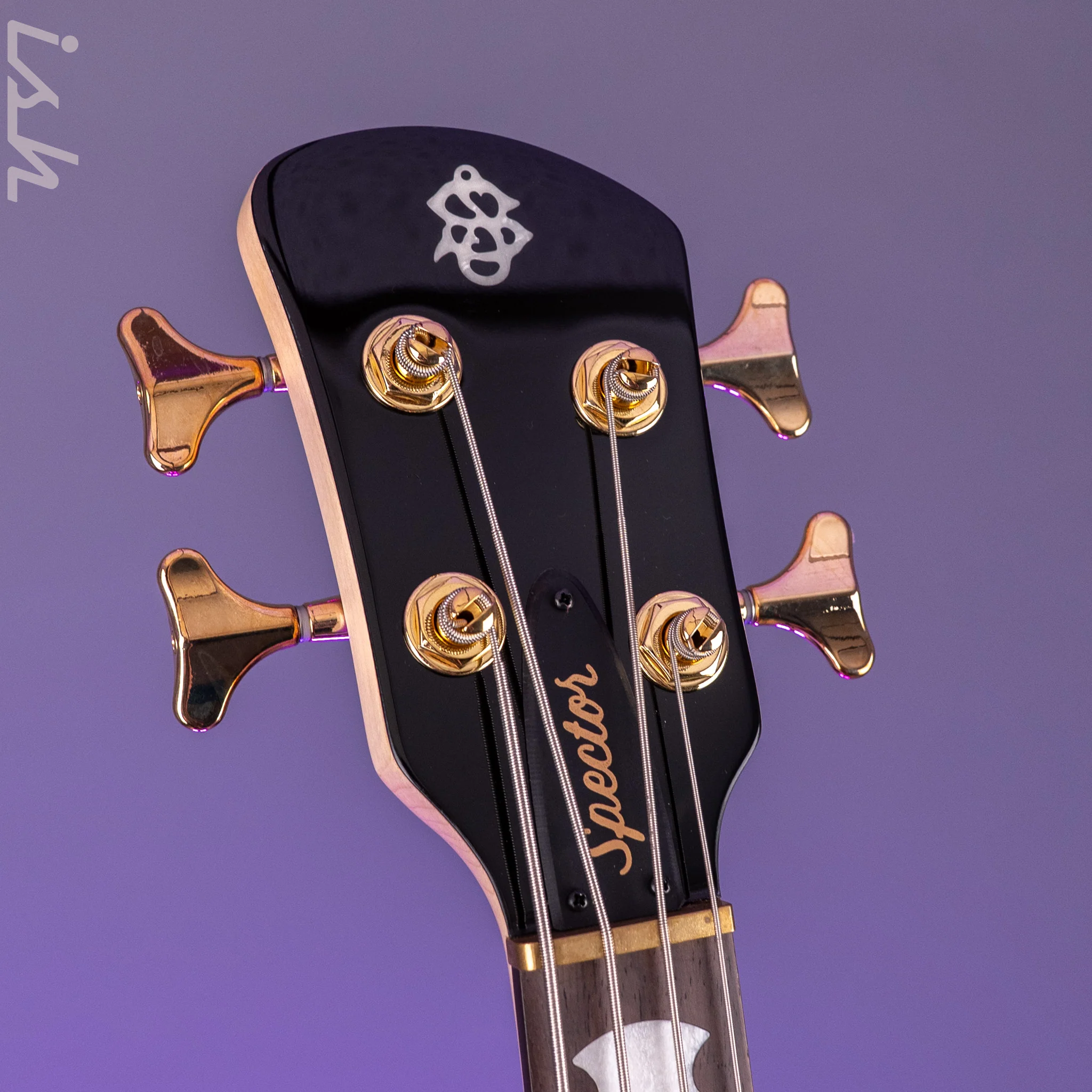 Spector ICON NS-2 Bolt-On Black Gloss - Image 7